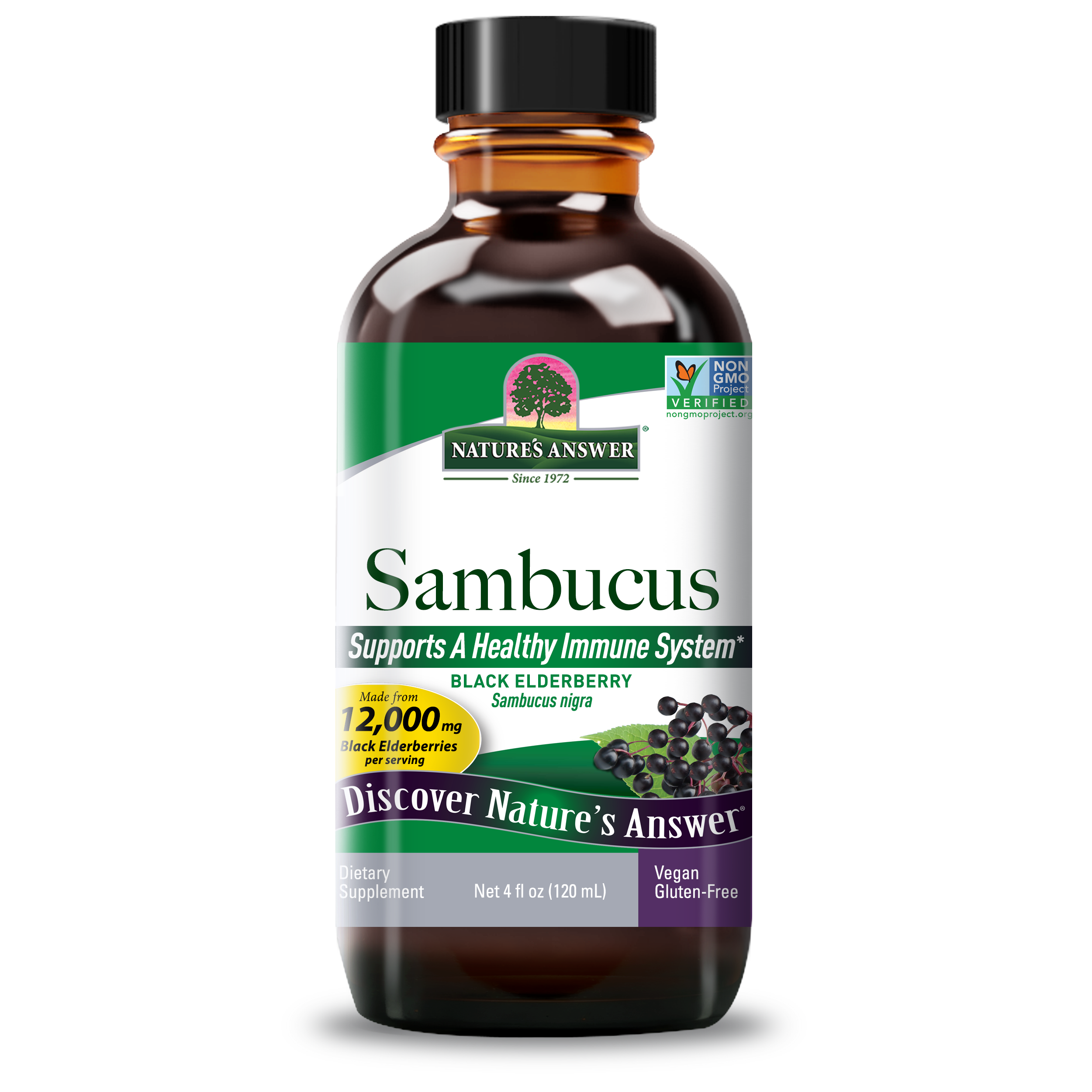 26040-natures-answer-sambucus-