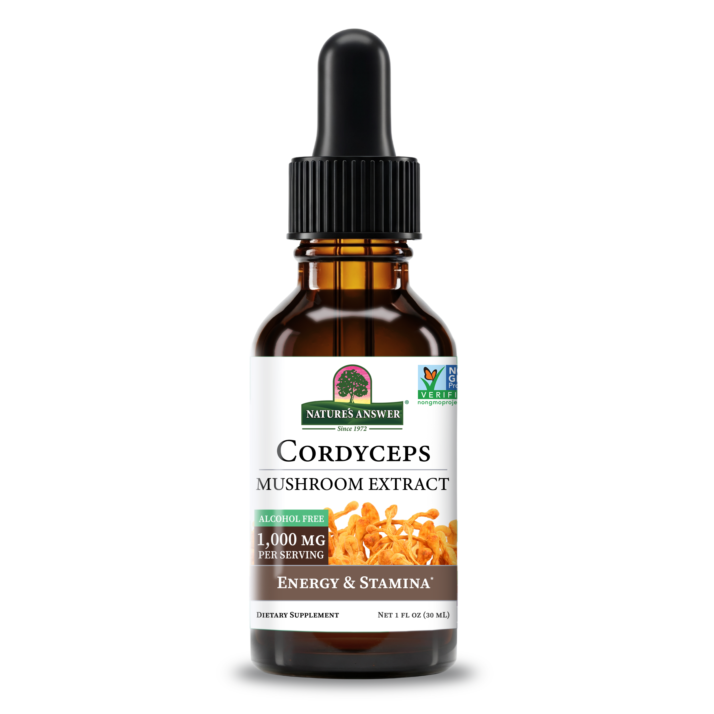Cordyceps Liquid Extract | Nature's Answer