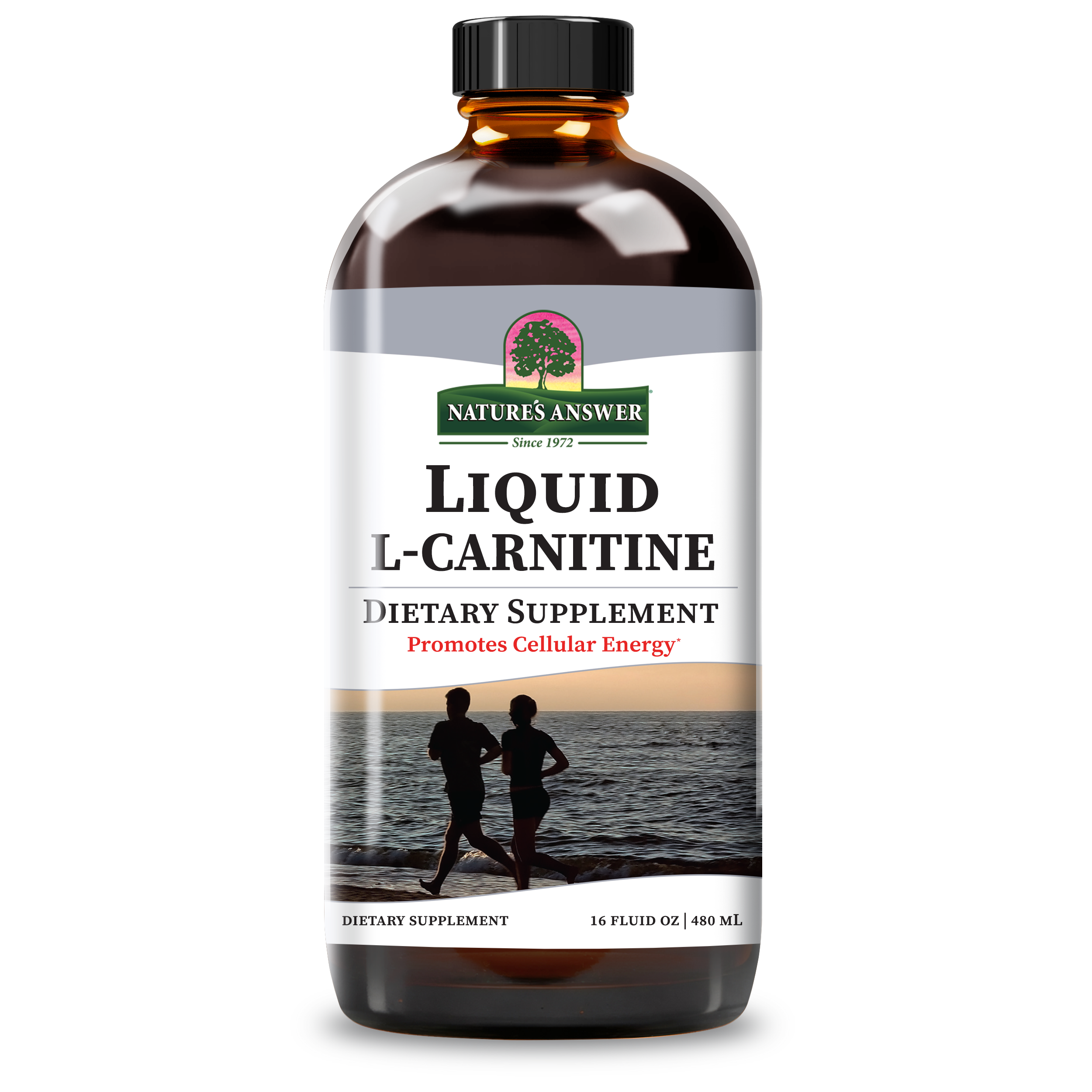 l carnitine buy near me L-Carnitine Liquid 3000 l carnitine buy near me L-Carnitine Liquid 3000