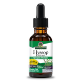 Hyssop Extract - Alcohol Free Liquid