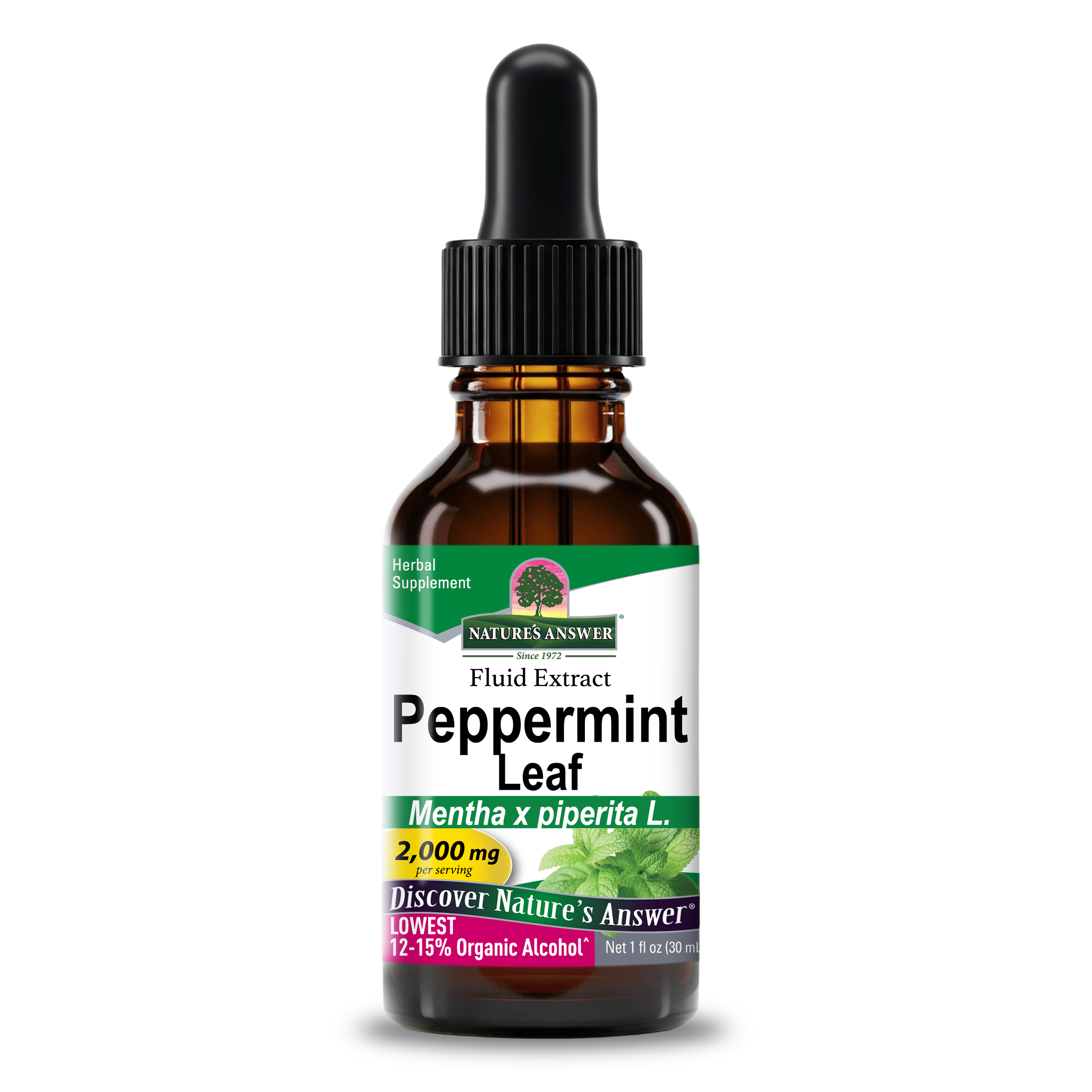 邦楽 FACT nature living / This day,this means Peppermint Herb | Low Organic Alcohol – Nature's Answer