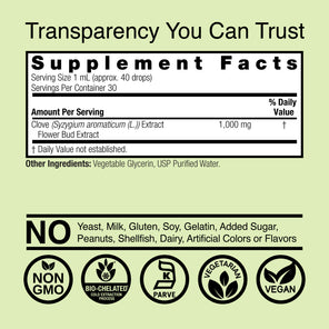 Clove Extract - Alcohol Free Liquid