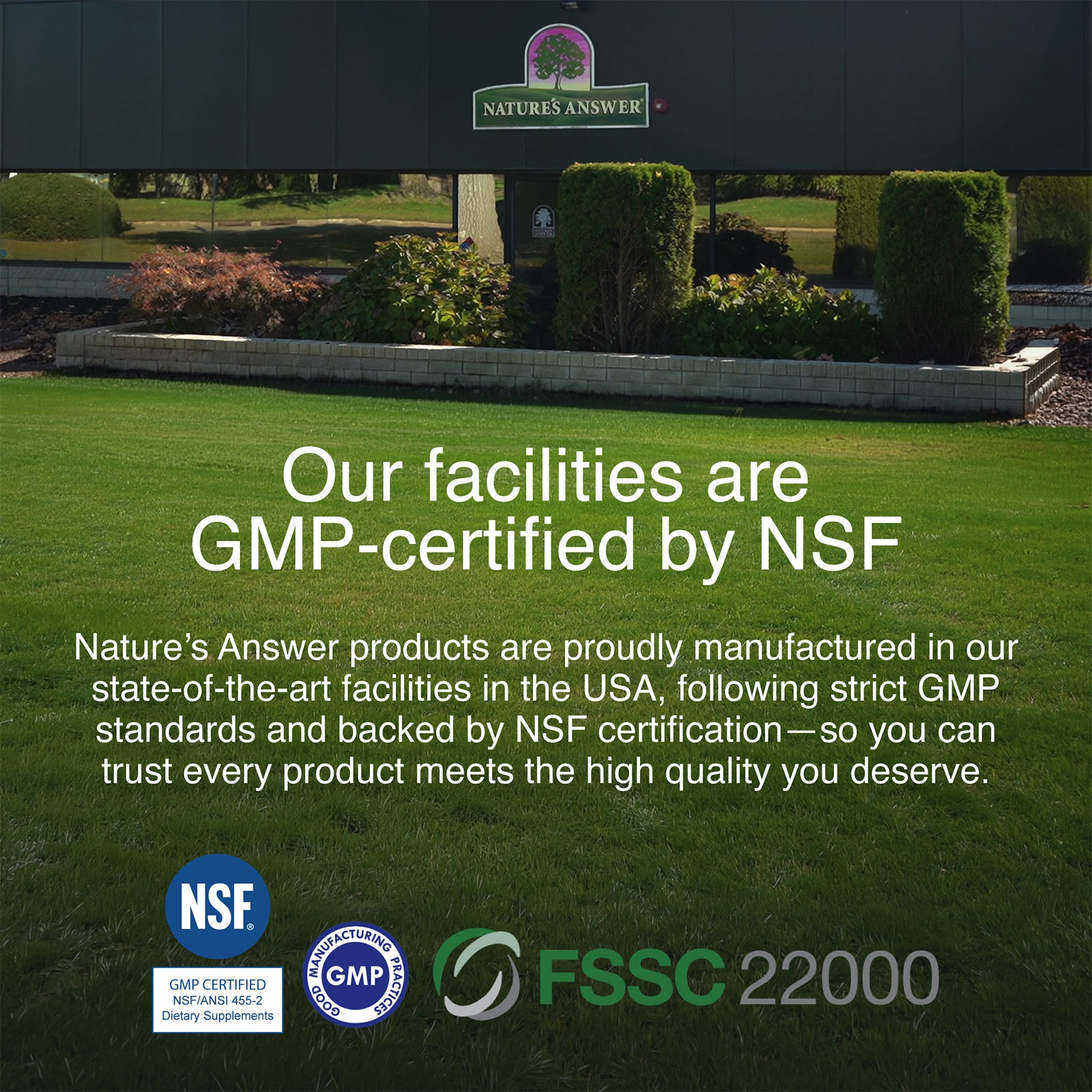 Magnesium Glycinate - Veggie Capsules