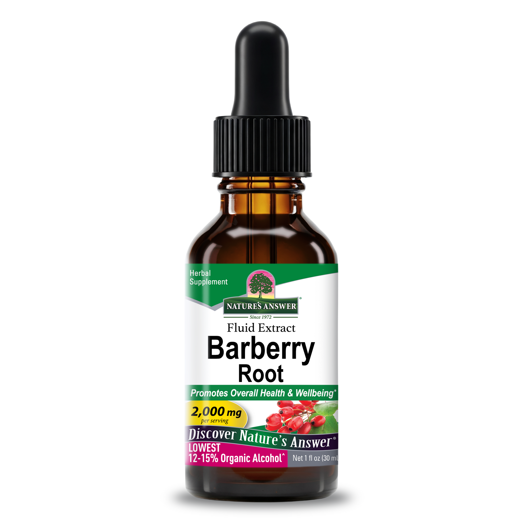 Barberry Extract - Low Alcohol Liquid