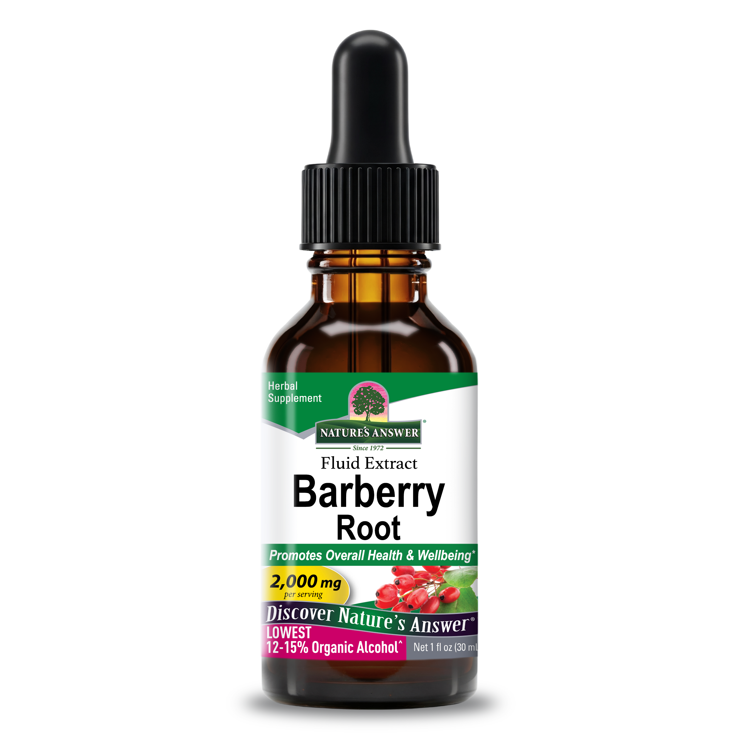Barberry Extract - Low Alcohol Liquid