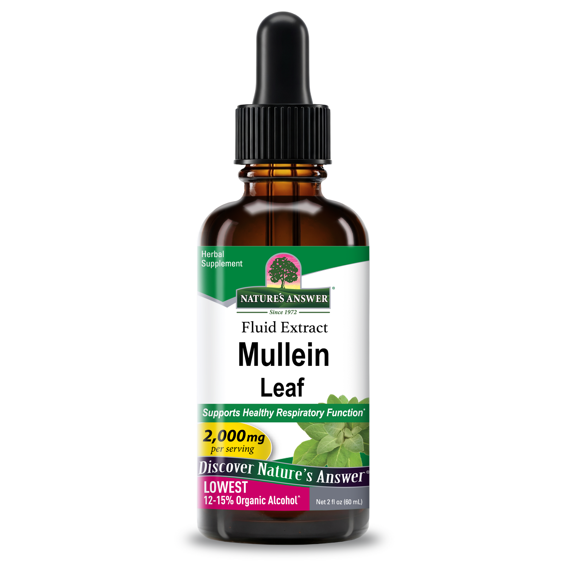 Mullein Extract - Low Alcohol Liquid
