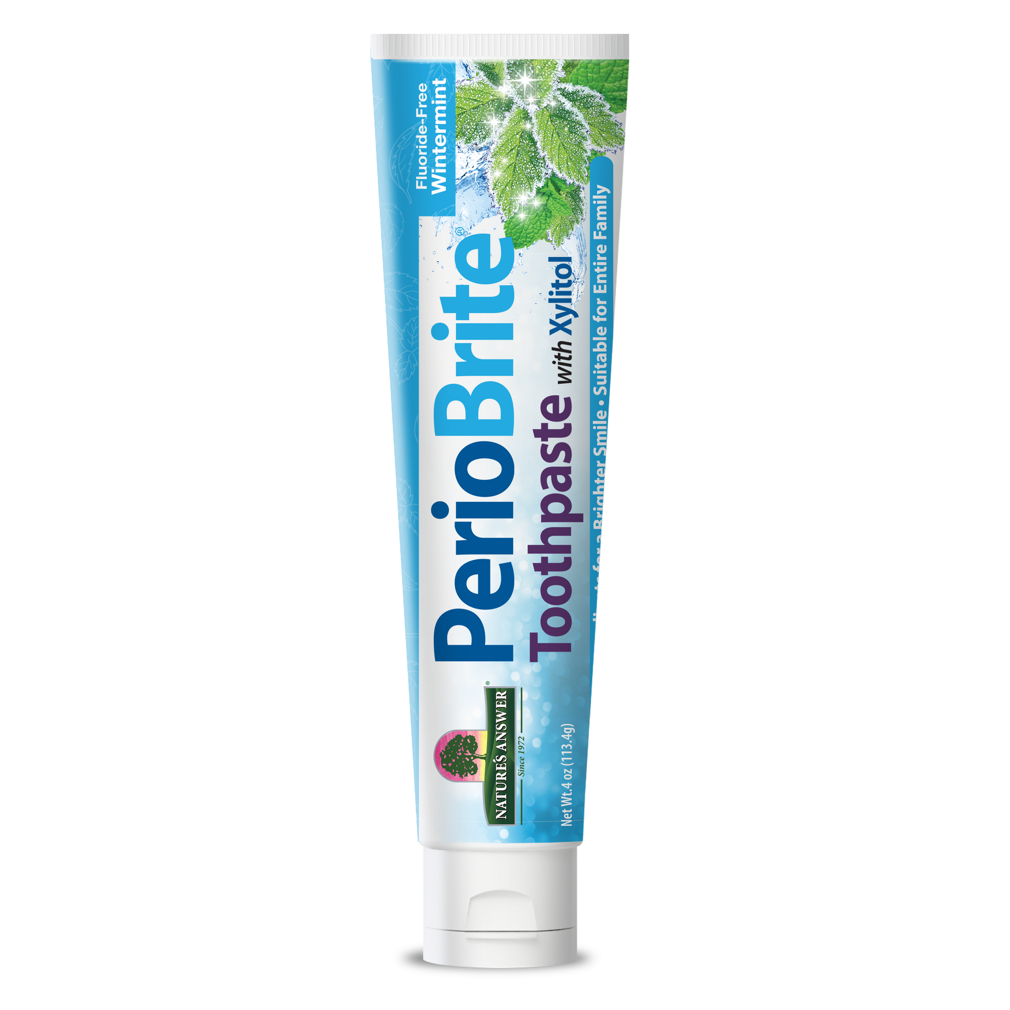 PerioBrite Toothpaste Wintermint