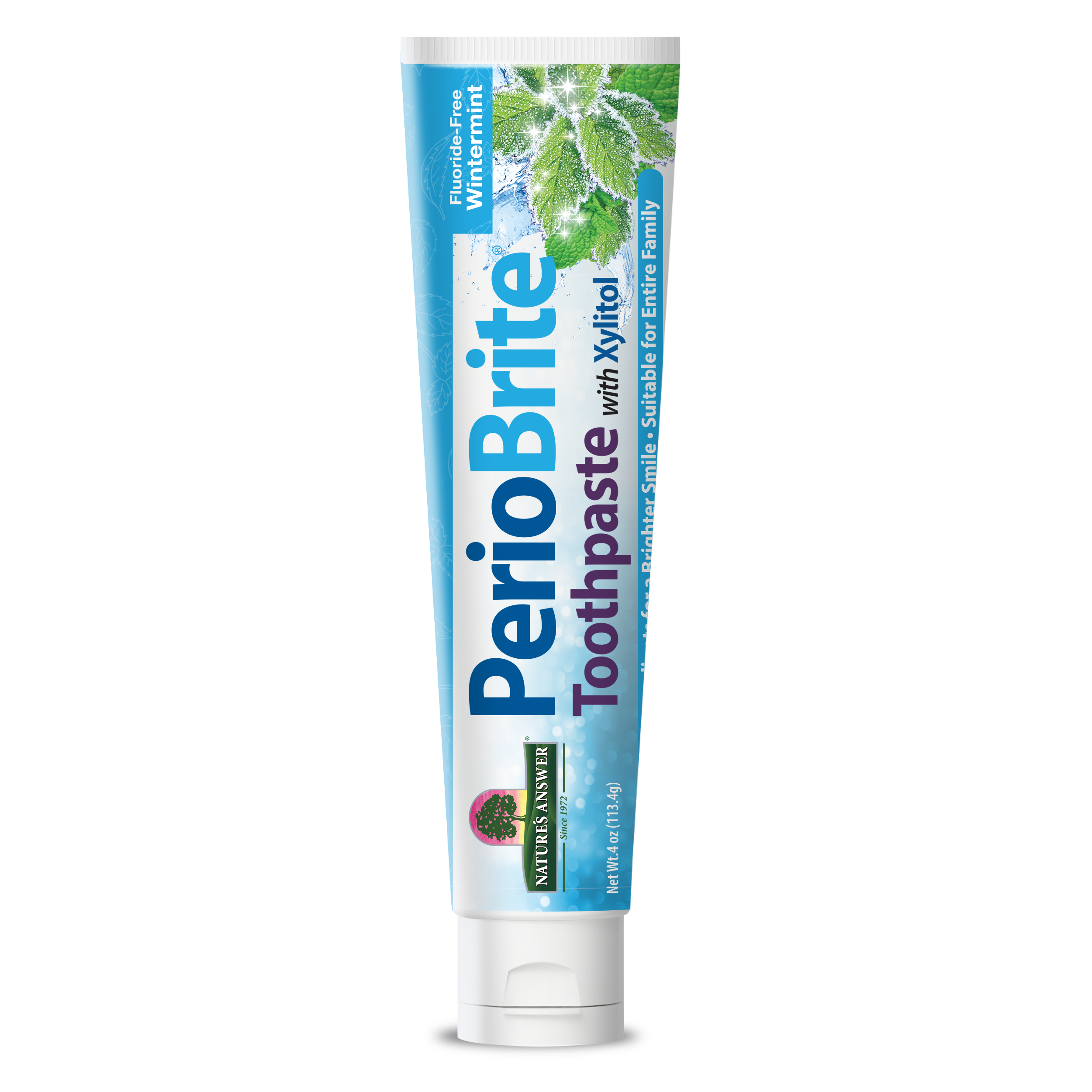 PerioBrite Toothpaste Wintermint