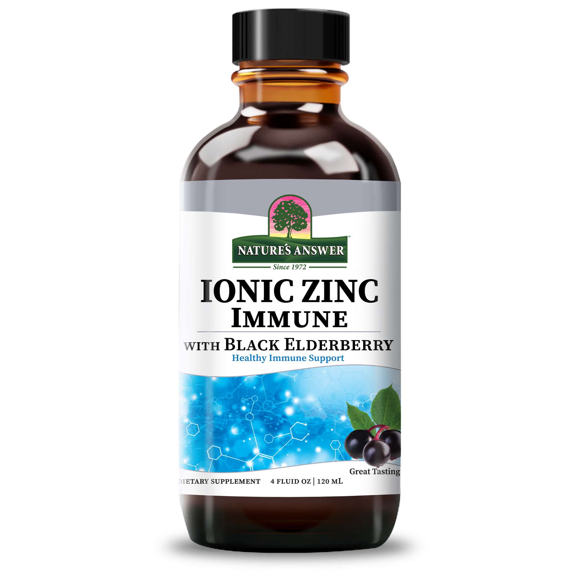 Ionic Zinc Immune with Black Elderberry - Alcohol Free Liquid