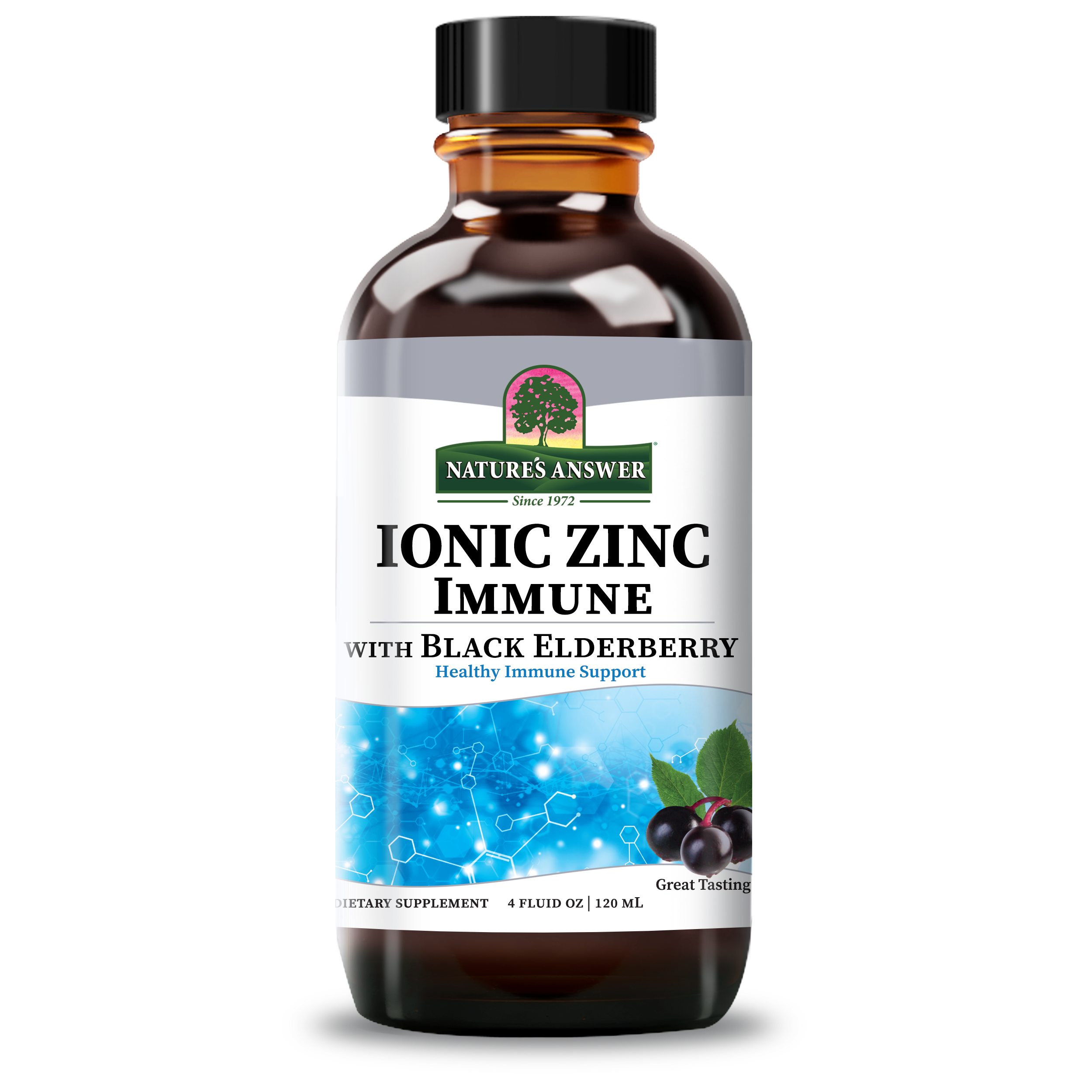 Ionic Zinc Immune with Black Elderberry - Alcohol Free Liquid