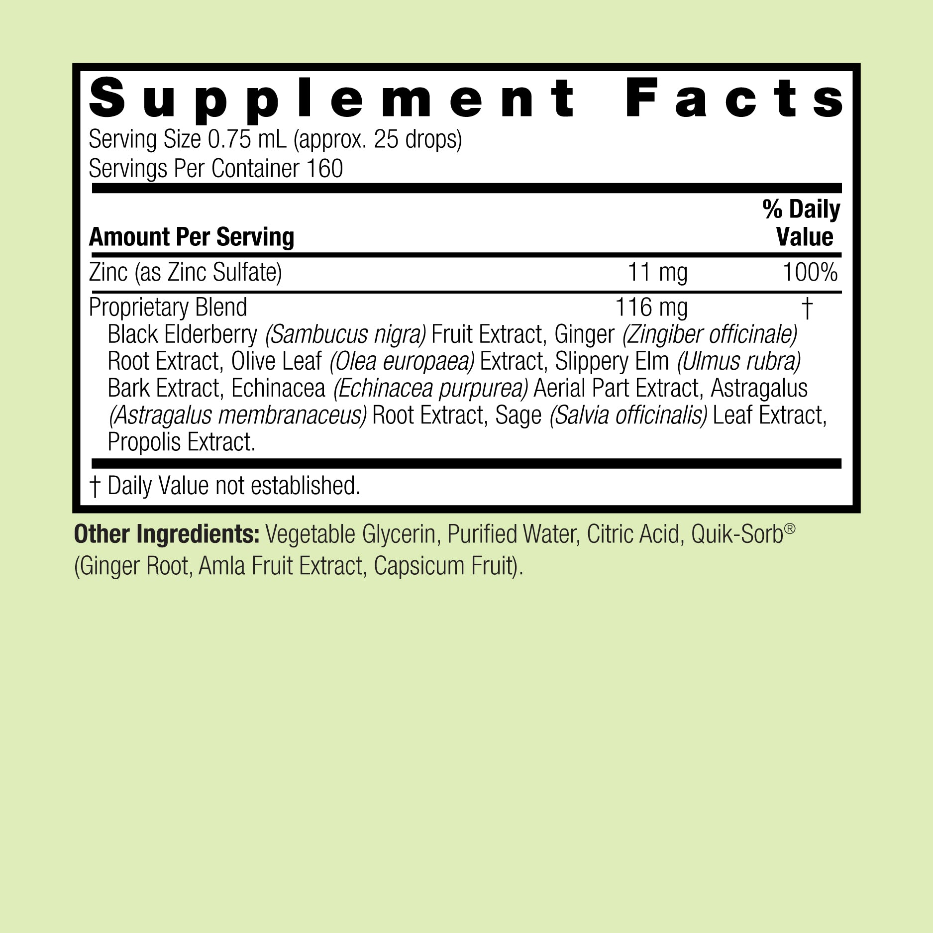 Ionic Zinc Immune with Black Elderberry - Alcohol Free Liquid