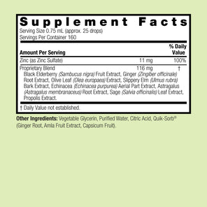 Ionic Zinc Immune with Black Elderberry - Alcohol Free Liquid