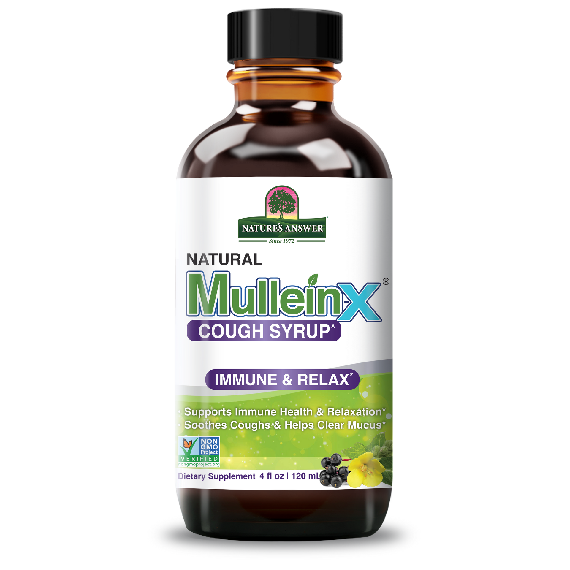 Mullein-Xâ„¢ Cough Syrup - Immune & Relax 4oz | Order Mullein Mullein-Xâ„¢ Cough Syrup - Immune & Relax 4oz | Order Mullein