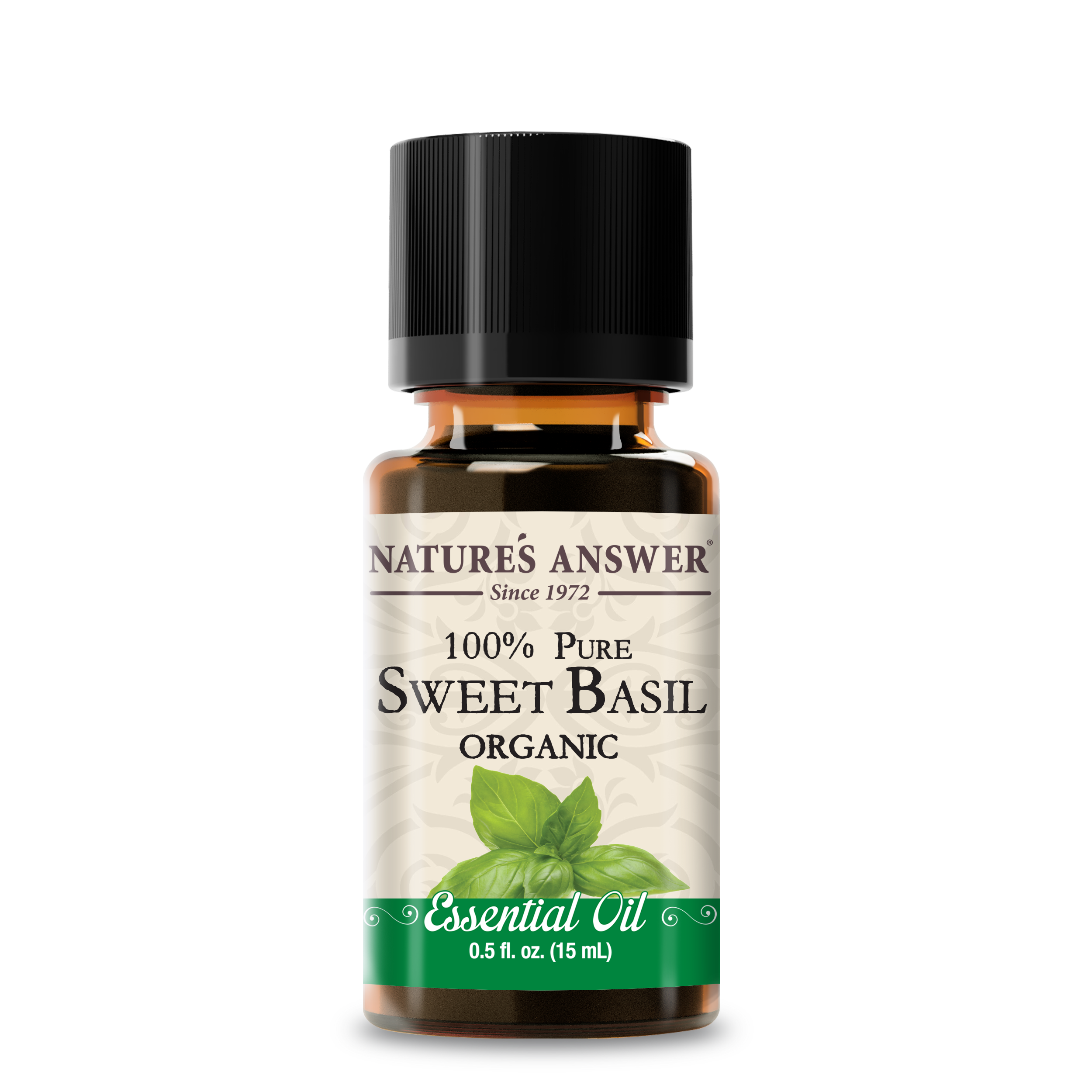 Organic Sweet Basil - Essential Oil