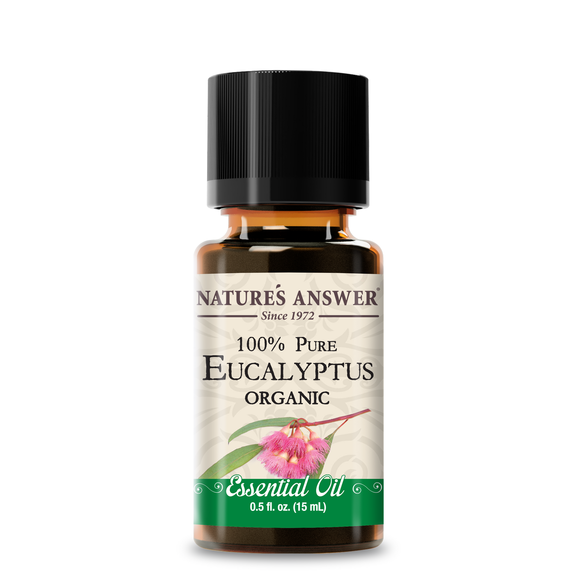 Organic Eucalyptus - Essential Oil