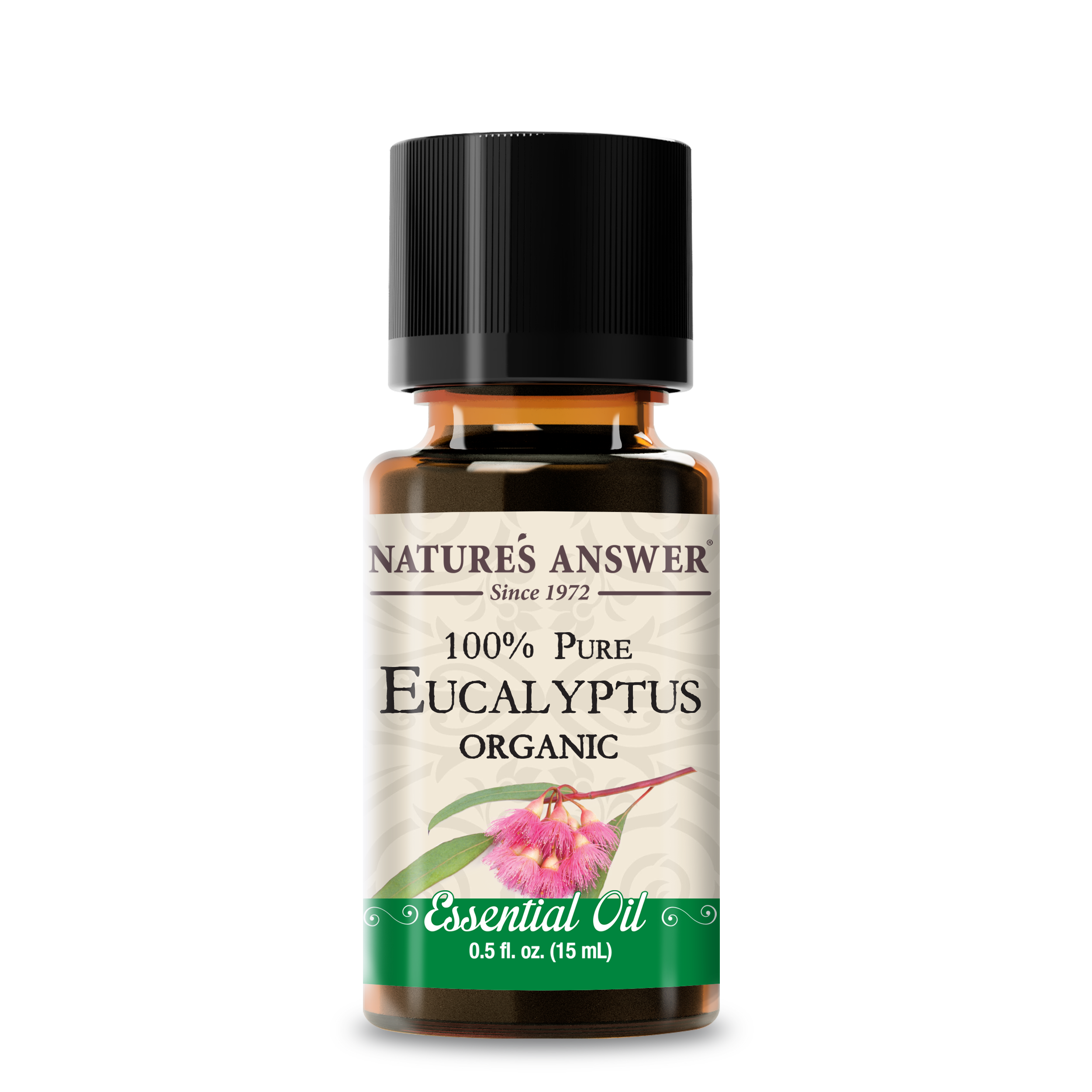 Organic Eucalyptus - Essential Oil