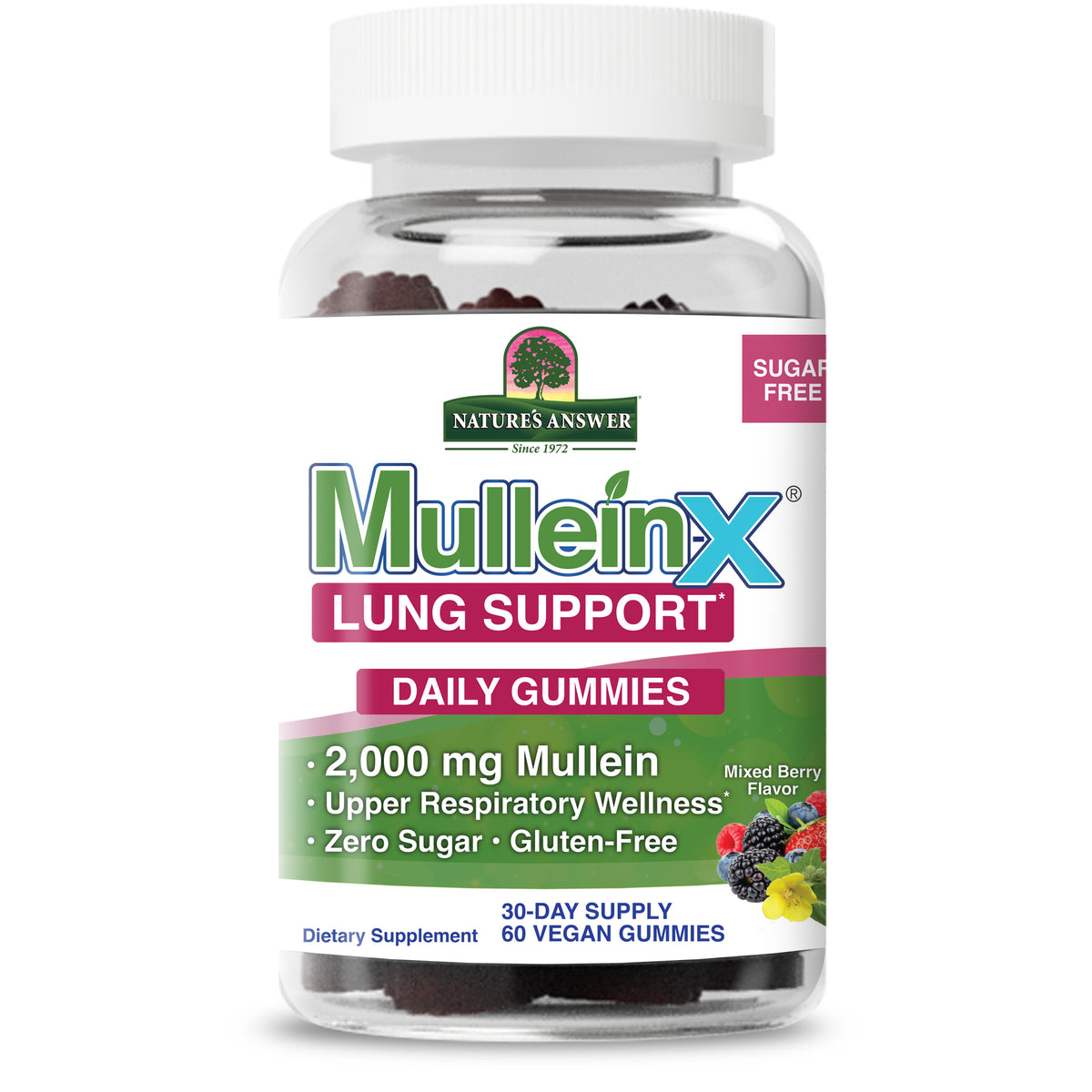 A bottle of Nature's Answer Mullein X Lung Support Daily Gummies, 30-day supply, 60 vegan gummies, mixed berry flavor, on a white background.