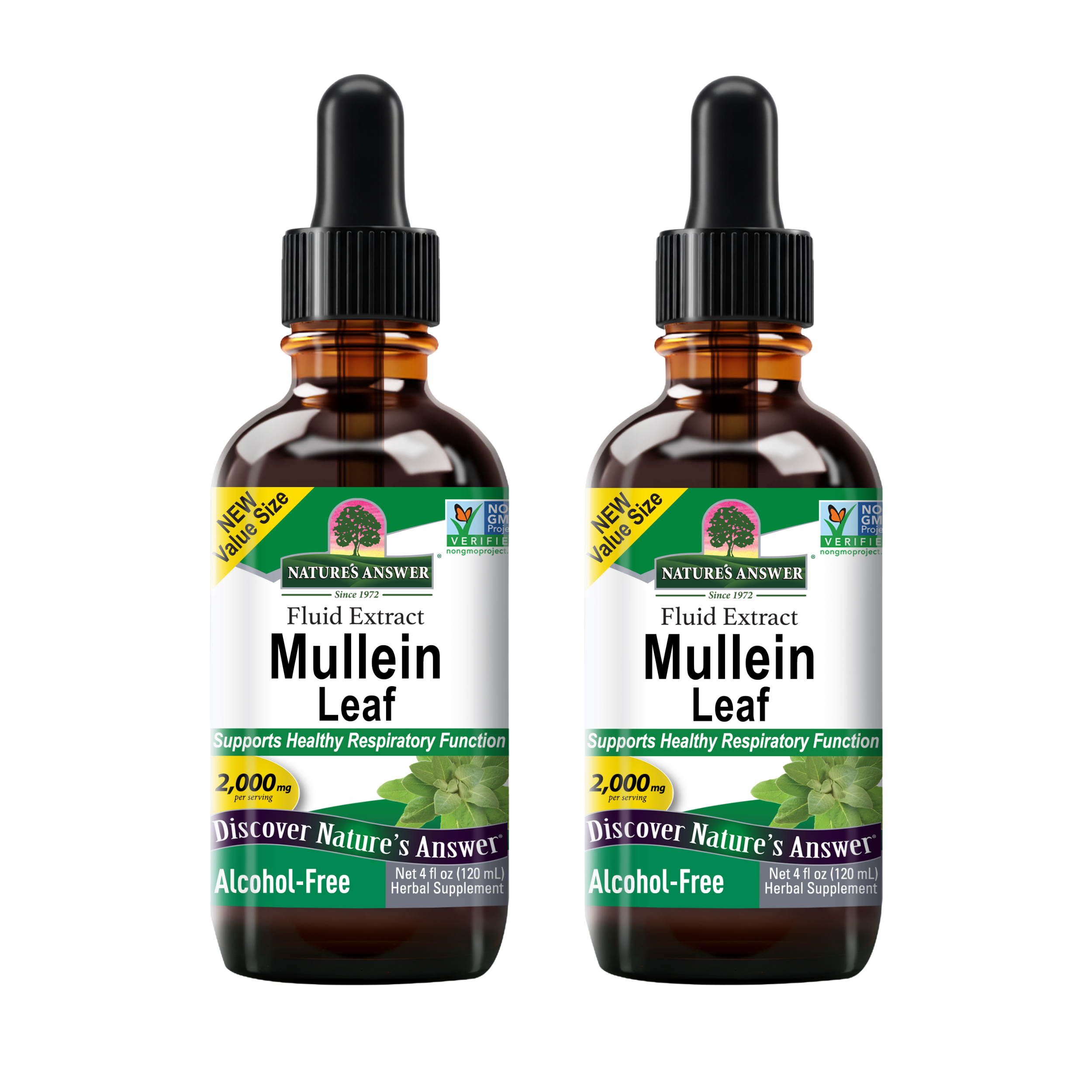 Mullein Extract - Alcohol Free Liquid
