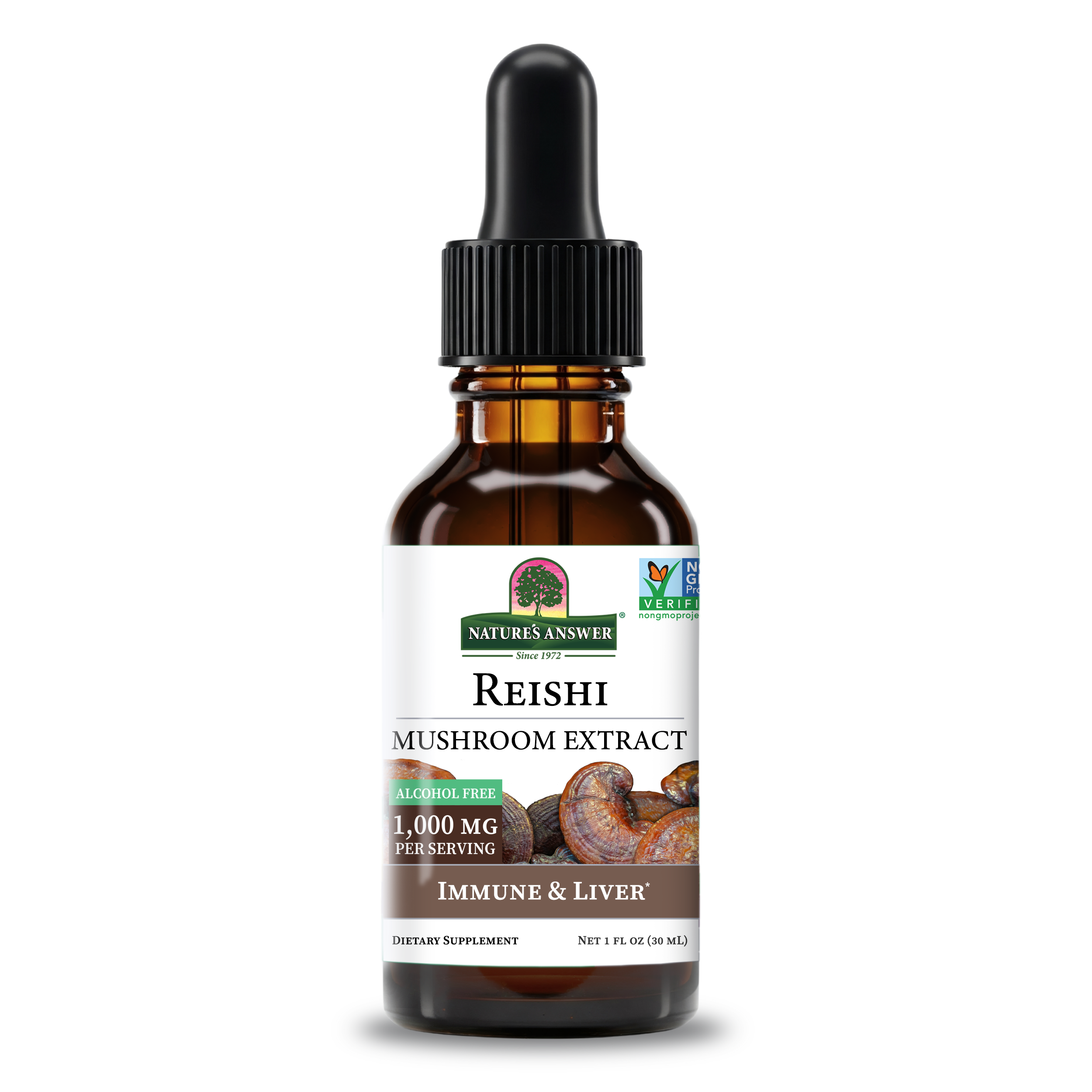 Reishi Mushroom Extract - Alcohol Free Liquid