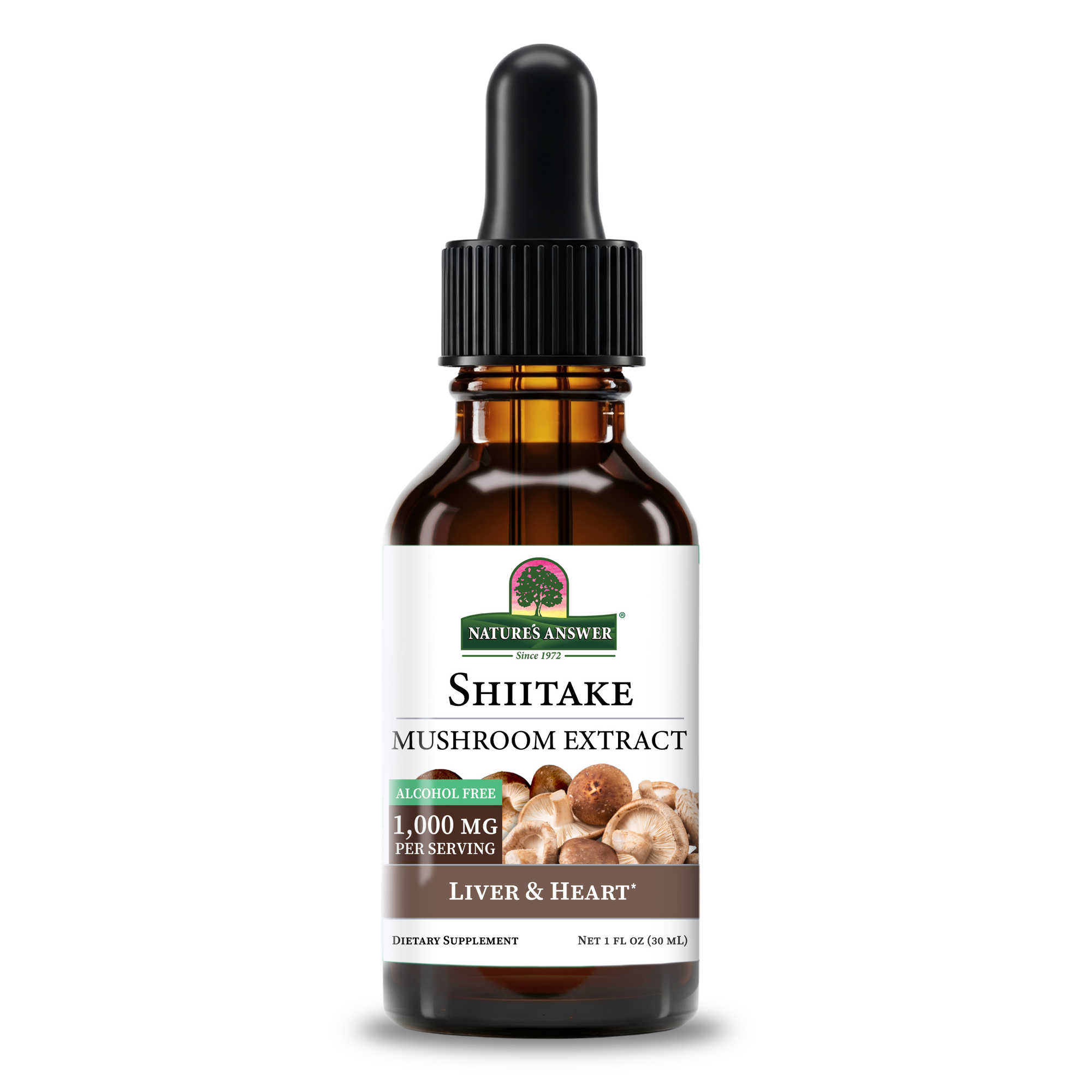 Shiitake Extract - Alcohol Free Liquid
