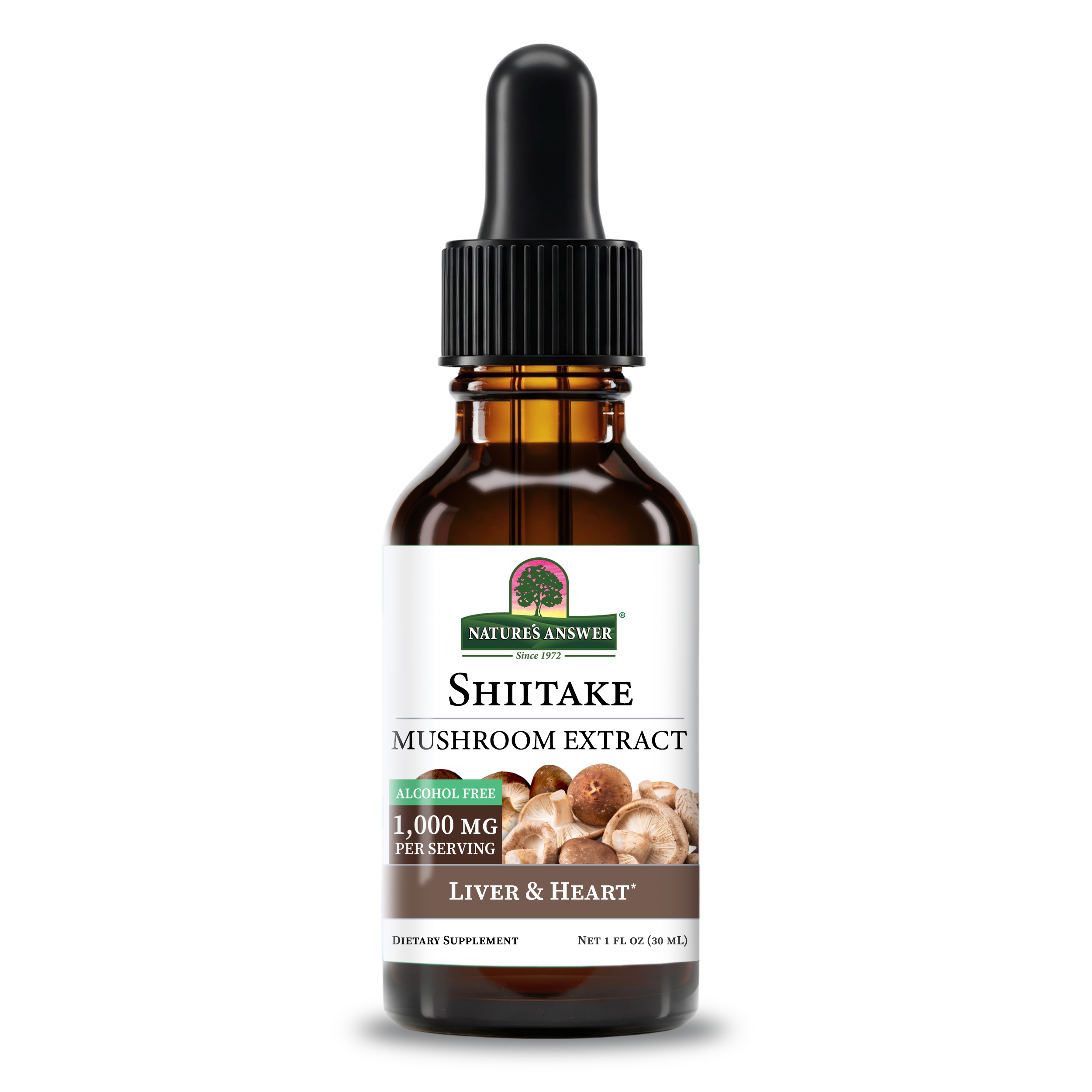 Shiitake Extract - Alcohol Free Liquid