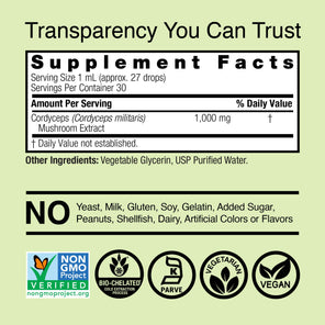 Cordyceps Extract - Alcohol Free Liquid