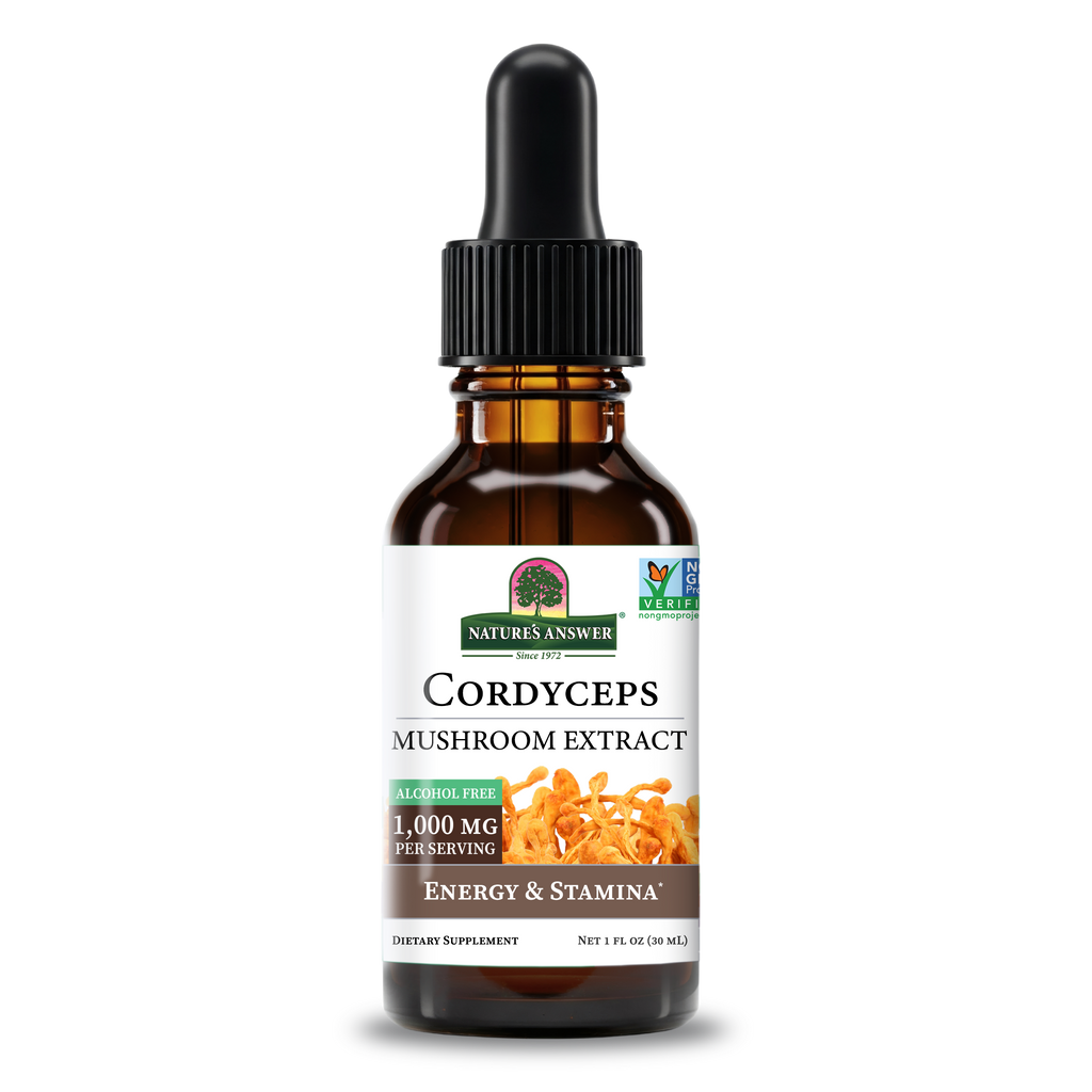 Cordyceps Extract - Alcohol Free Liquid