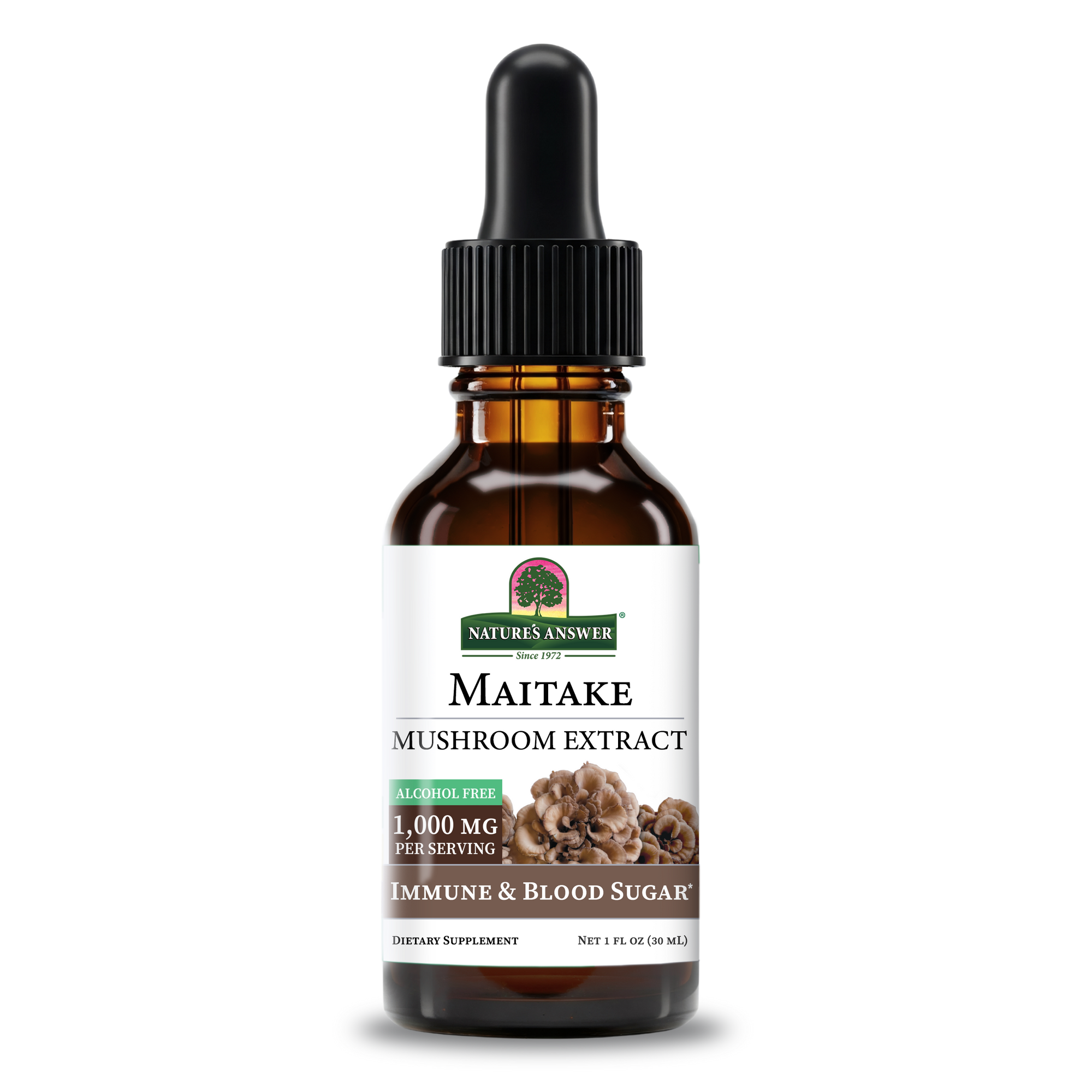 Maitake Mushroom - Alcohol Free Extract
