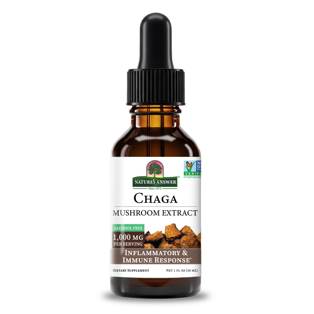 Chaga Mushroom Extract - Alcohol Free Liquid