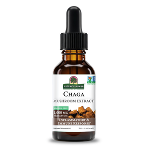 Chaga Mushroom Extract - Alcohol Free Liquid