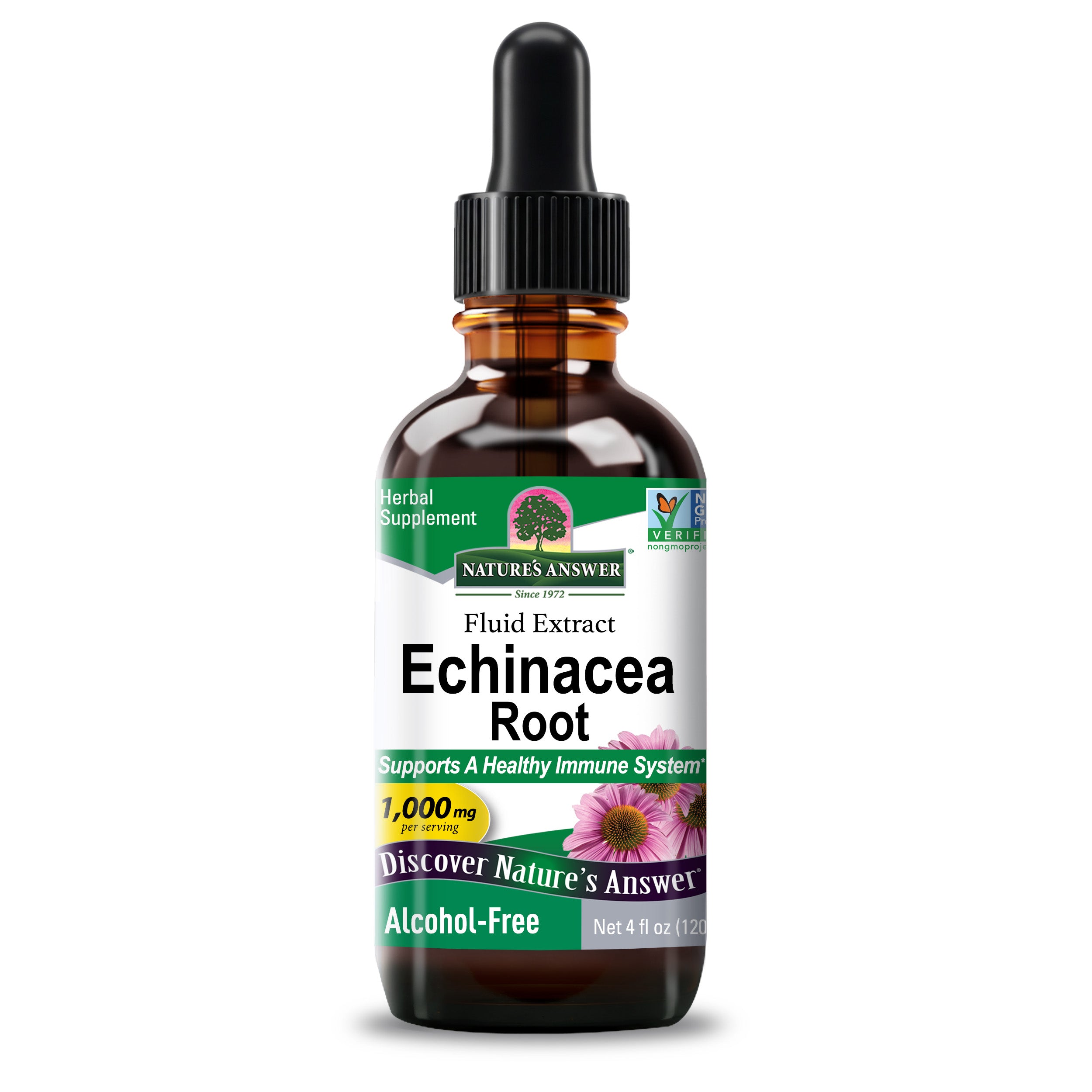 Echinacea Extract - Alcohol Free Liquid