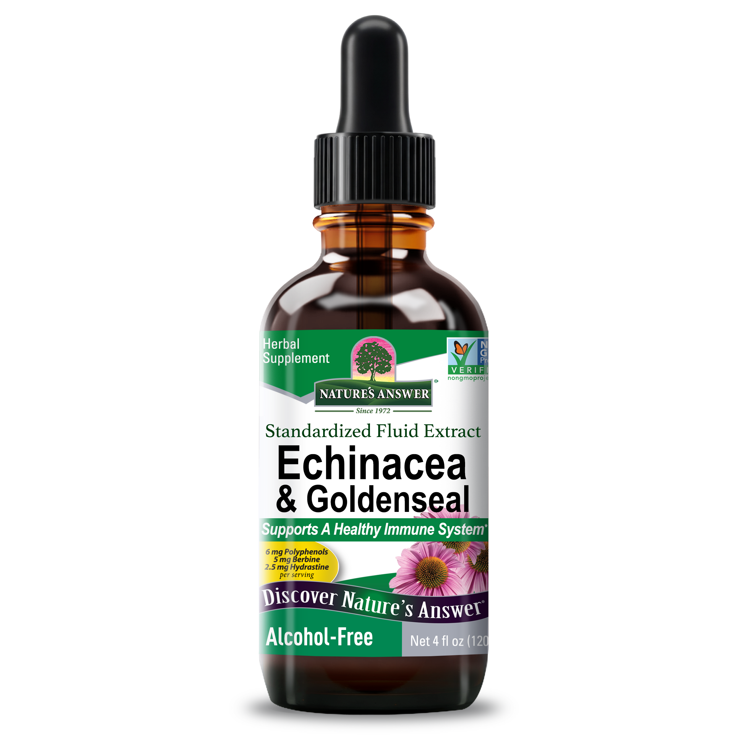 Echinacea & Goldenseal Extract - Alcohol Free Liquid