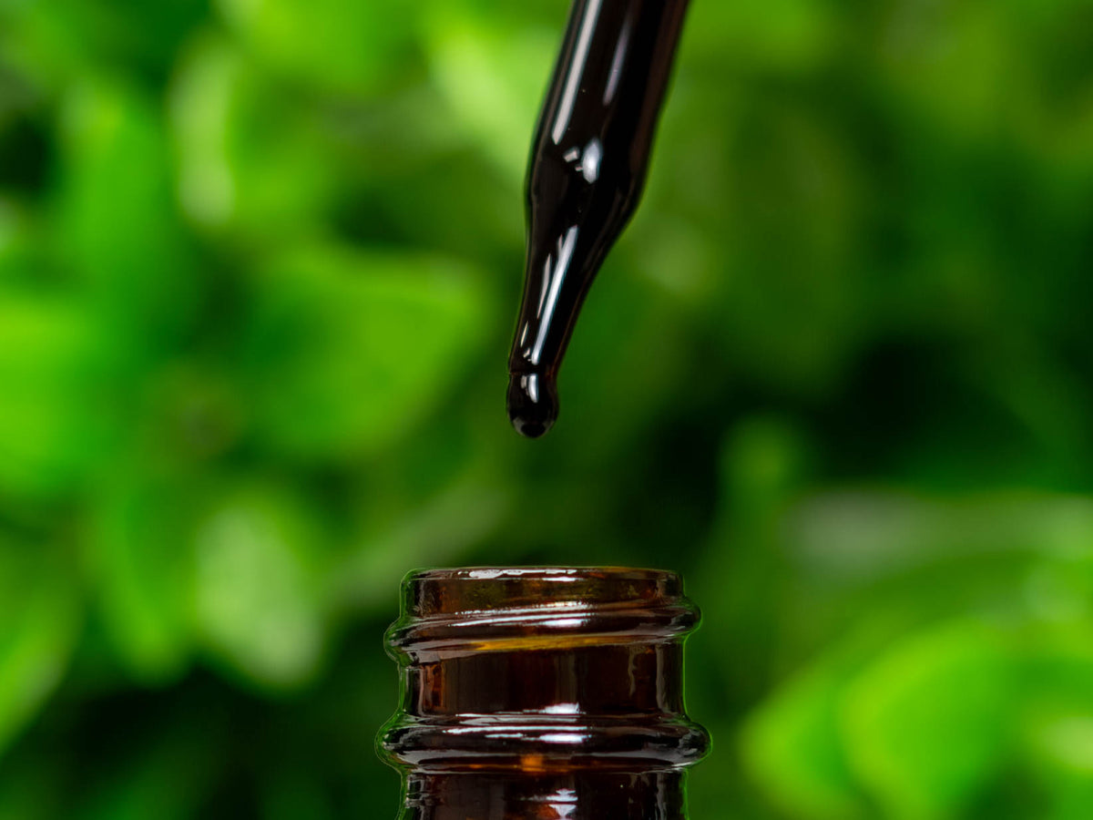 Different Extracts Featured Herbal Extracts – Nature's Answer