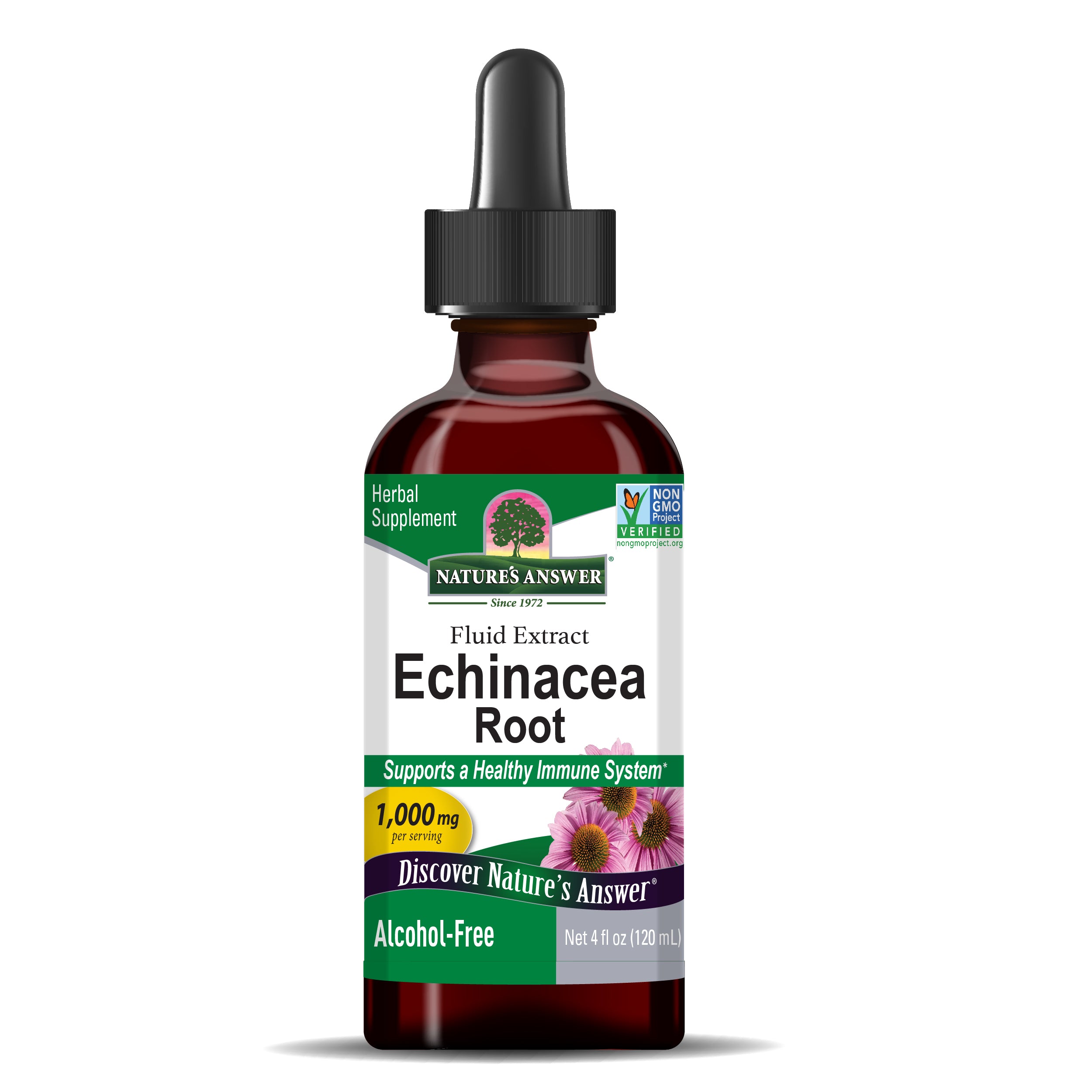 Echinacea Extract - Alcohol Free Liquid