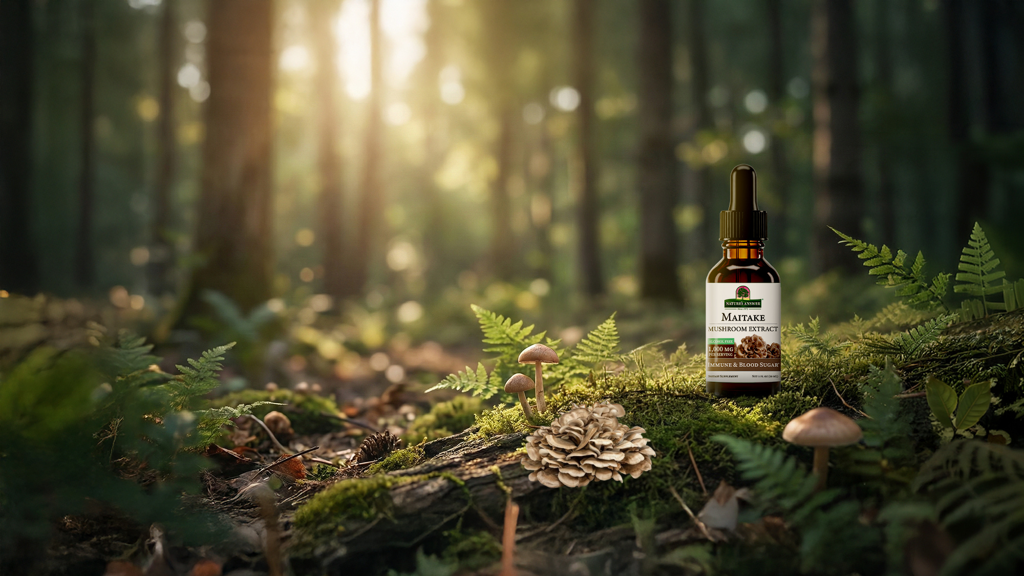 Bottle of Maitake mushroom supplement in a forest setting with sunlight filtering through the trees.