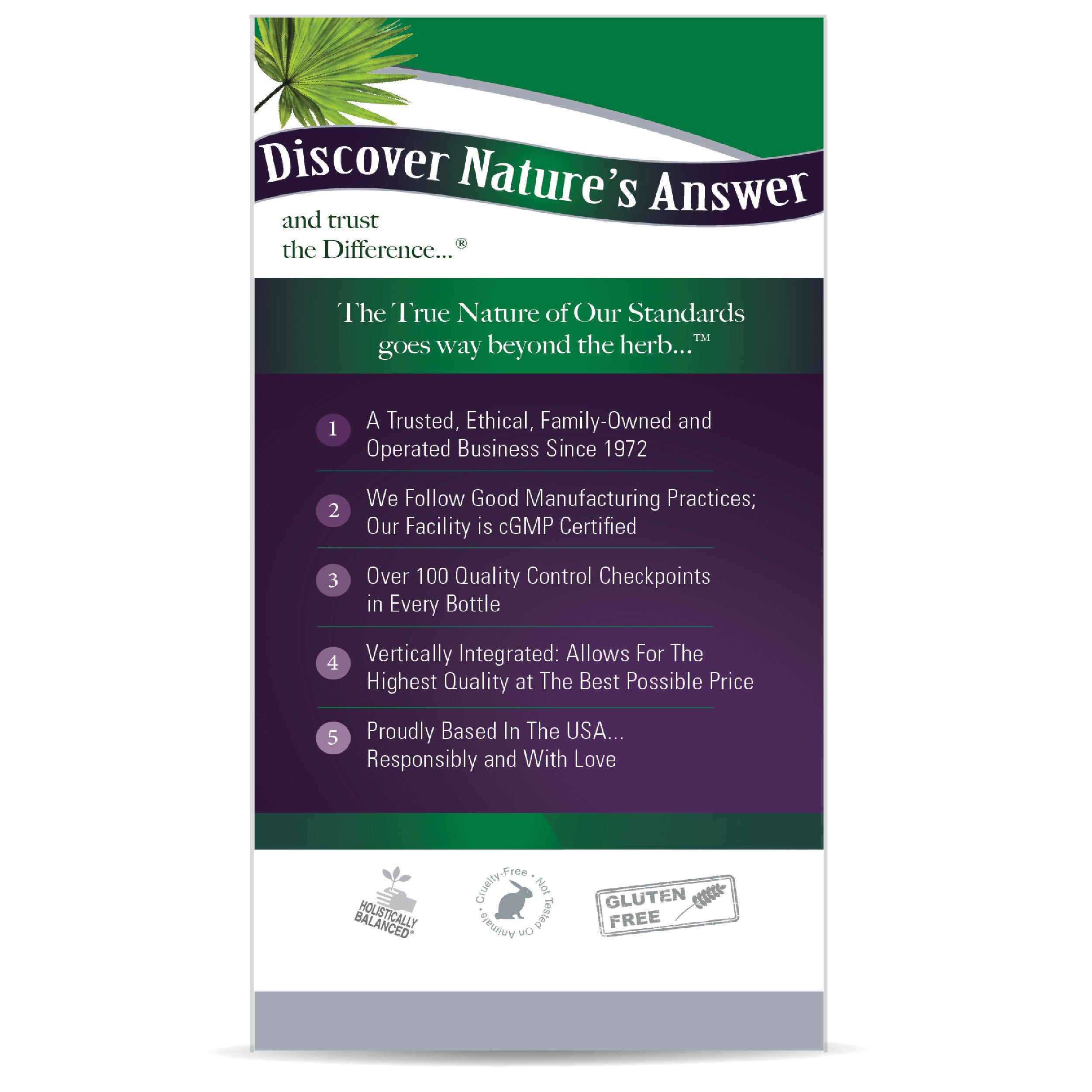 Saw Palmetto 18431 IFC-Left