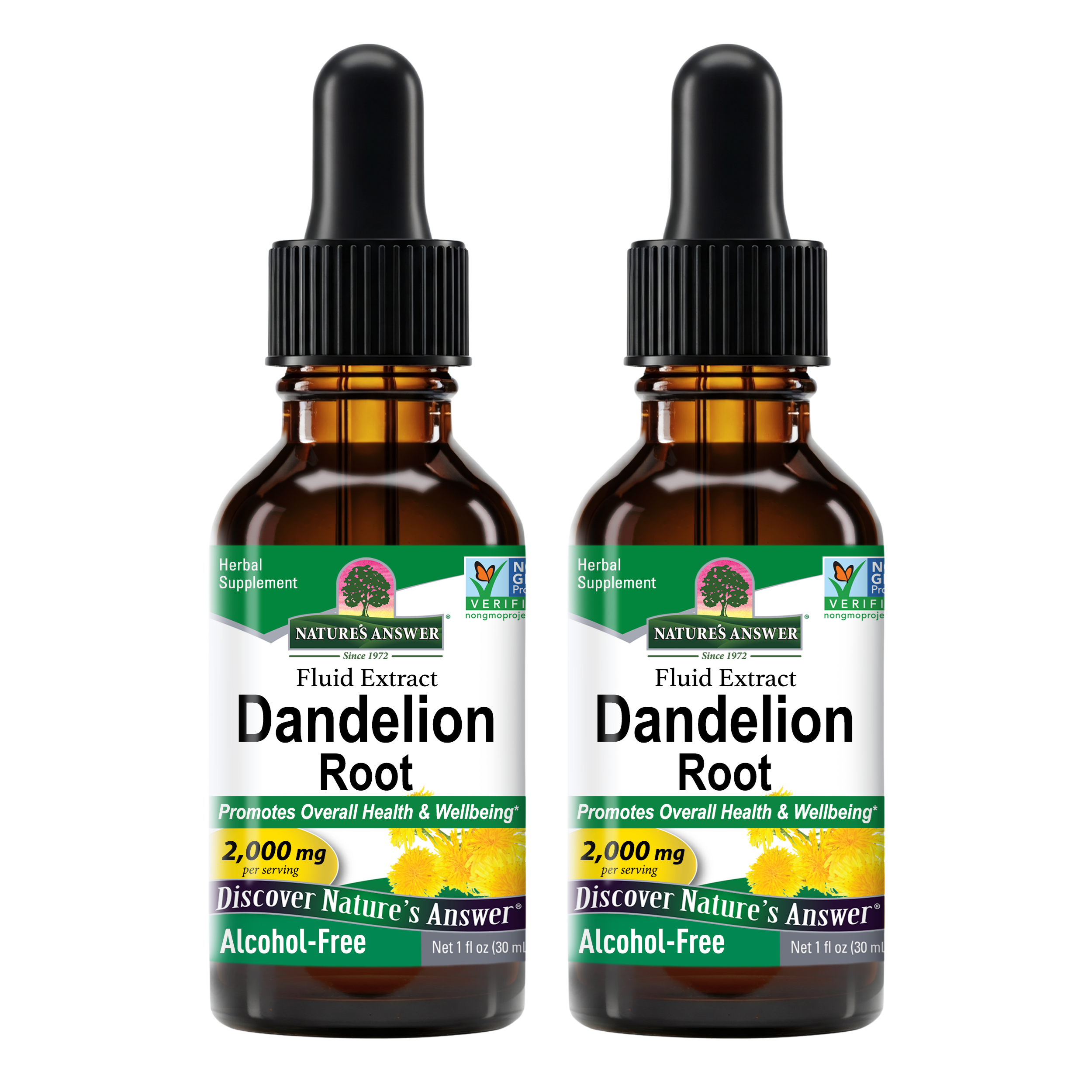 Dandelion Extract - Alcohol Free Liquid