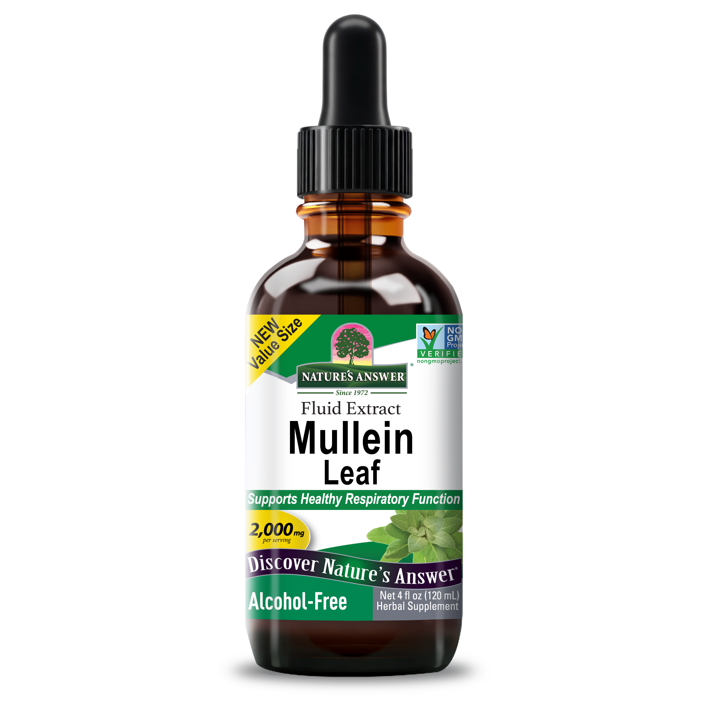 Mullein Extract - Alcohol Free Liquid