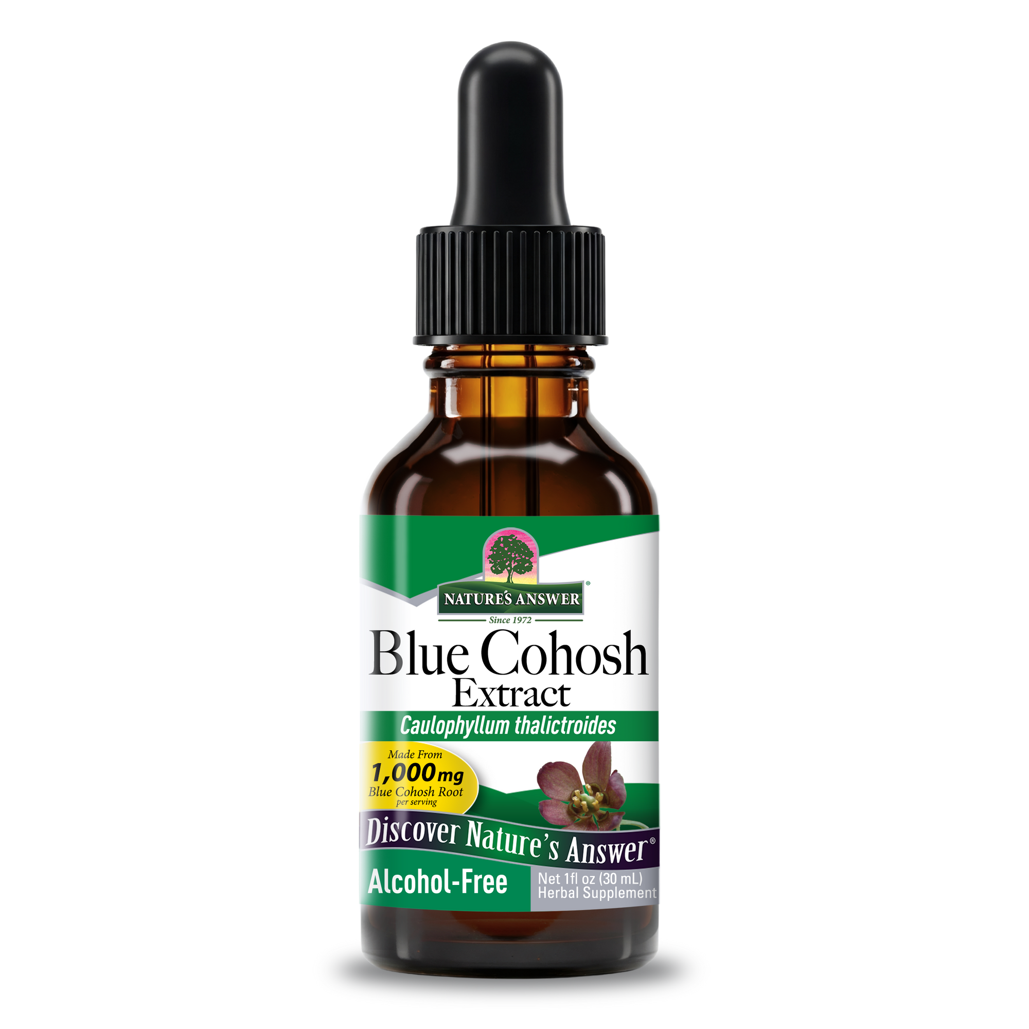 Blue Cohosh Extract - Alcohol Free Liquid