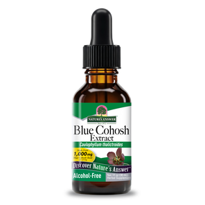 Blue Cohosh Extract - Alcohol Free Liquid
