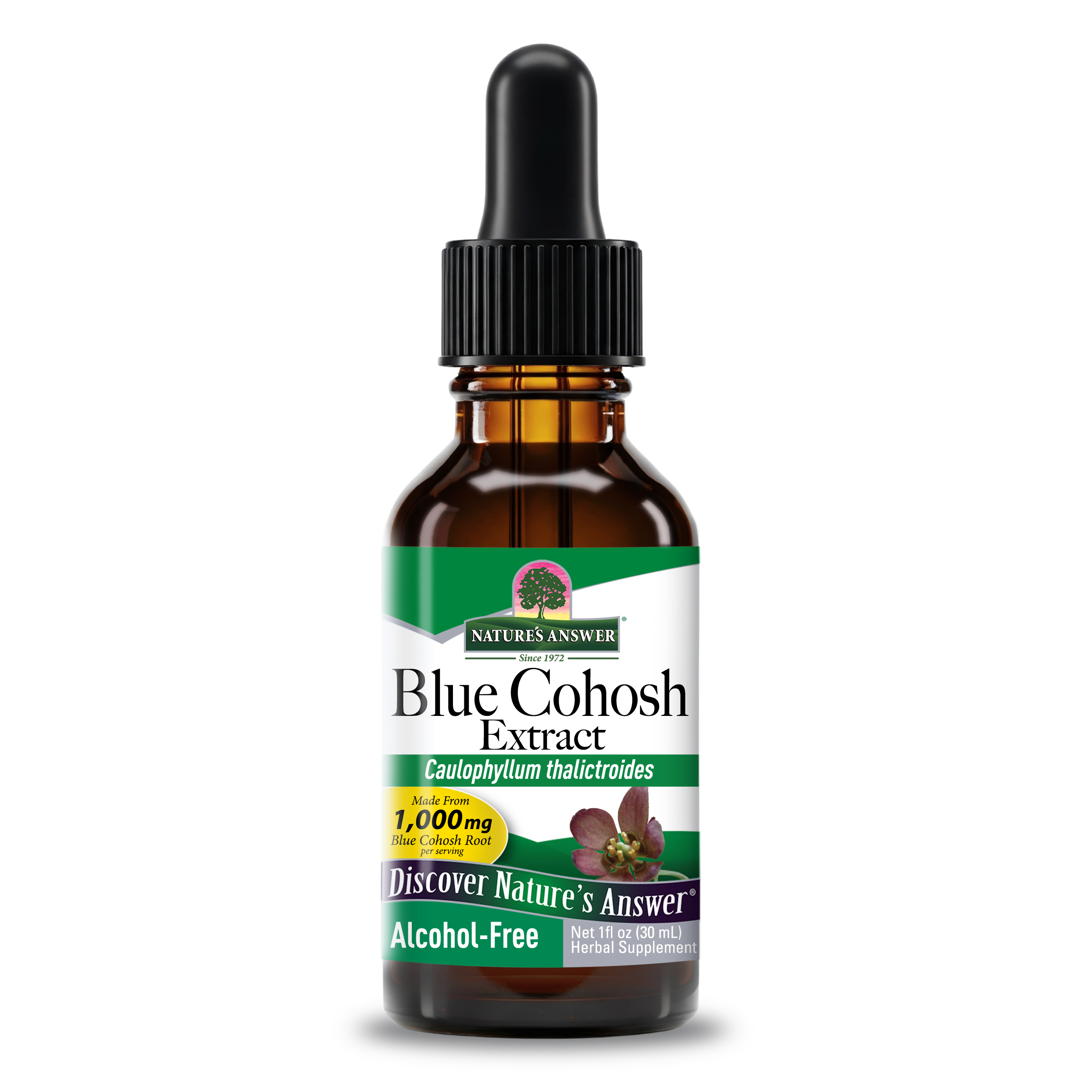 Blue Cohosh Extract - Alcohol Free Liquid