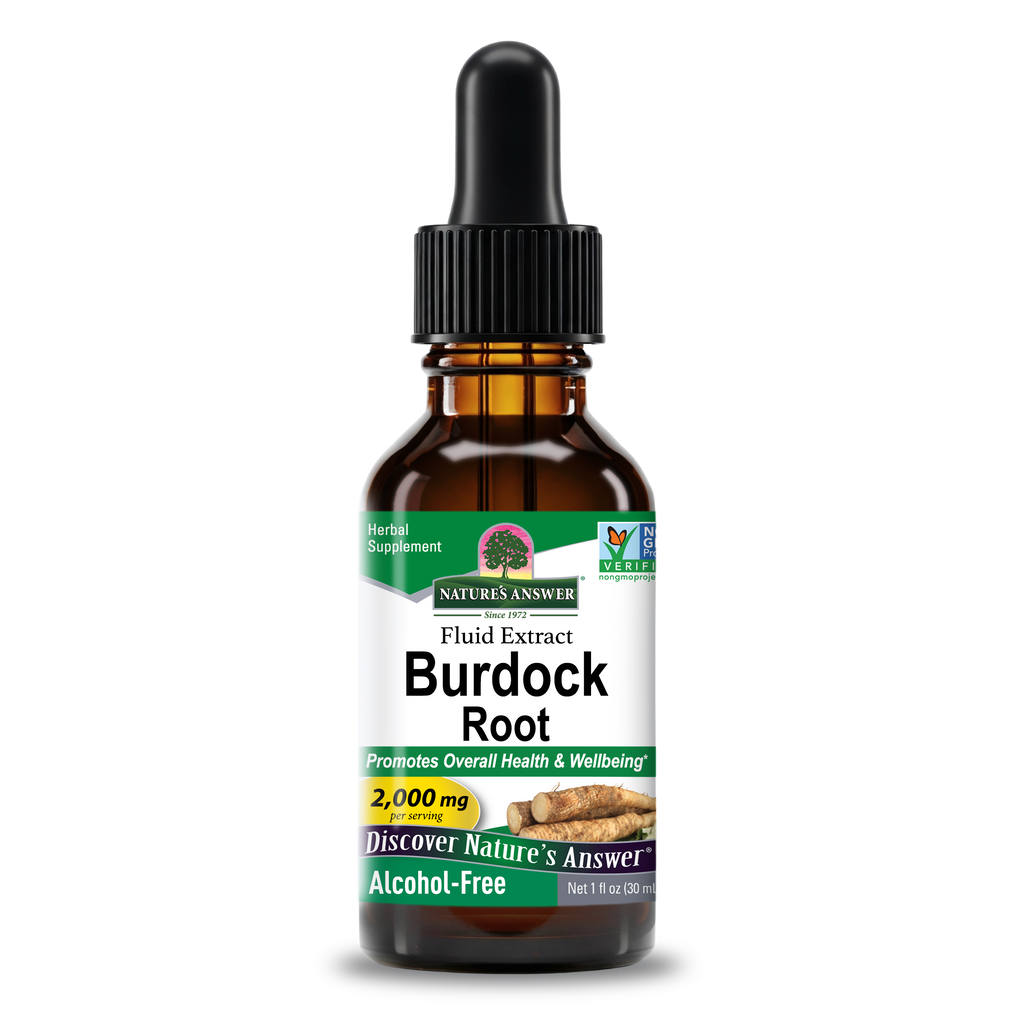 Burdock Extract - Alcohol Free Liquid