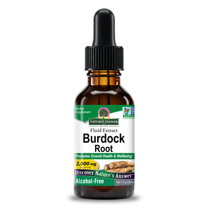 Burdock Extract - Alcohol Free Liquid