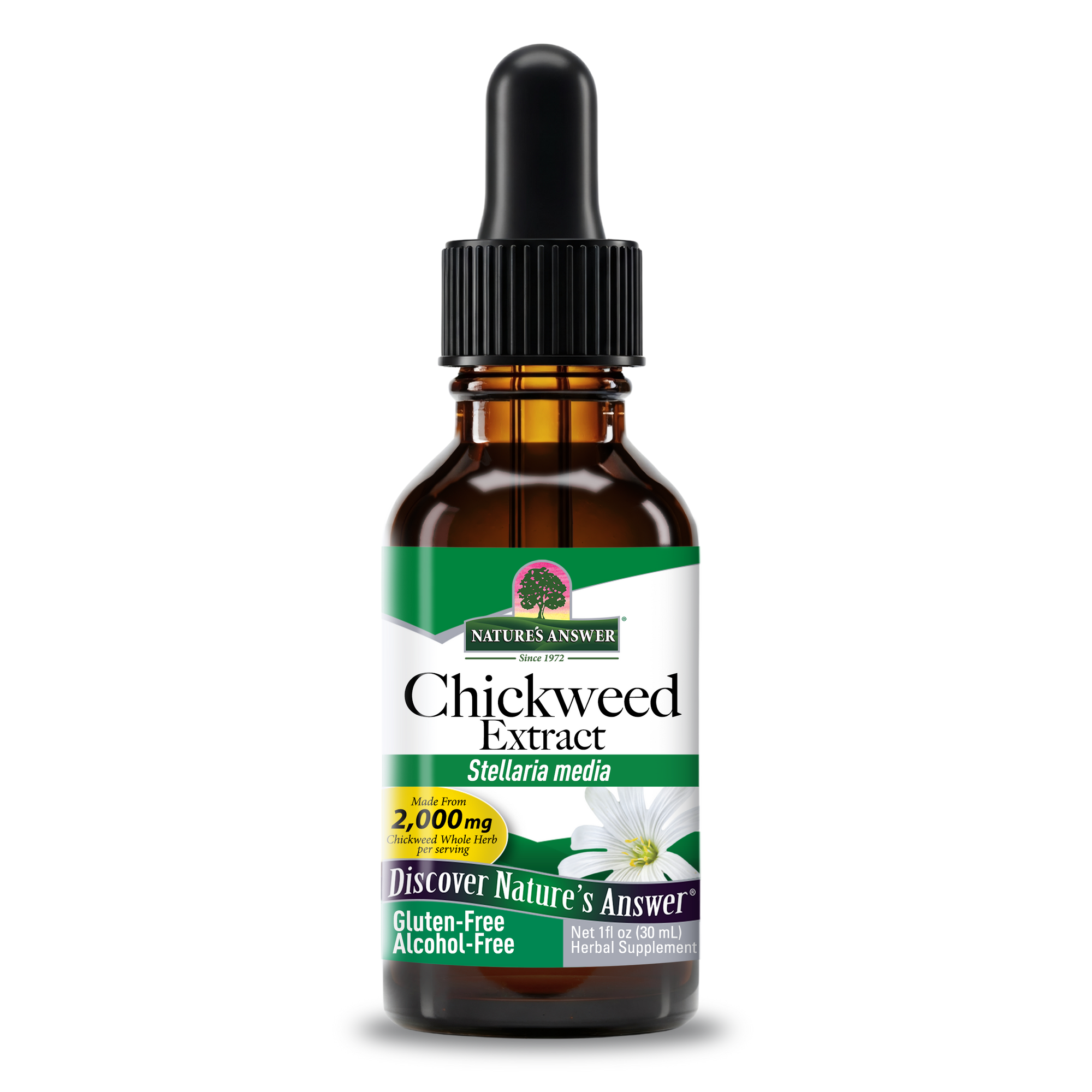 Chickweed Extract - Alcohol Free Liquid