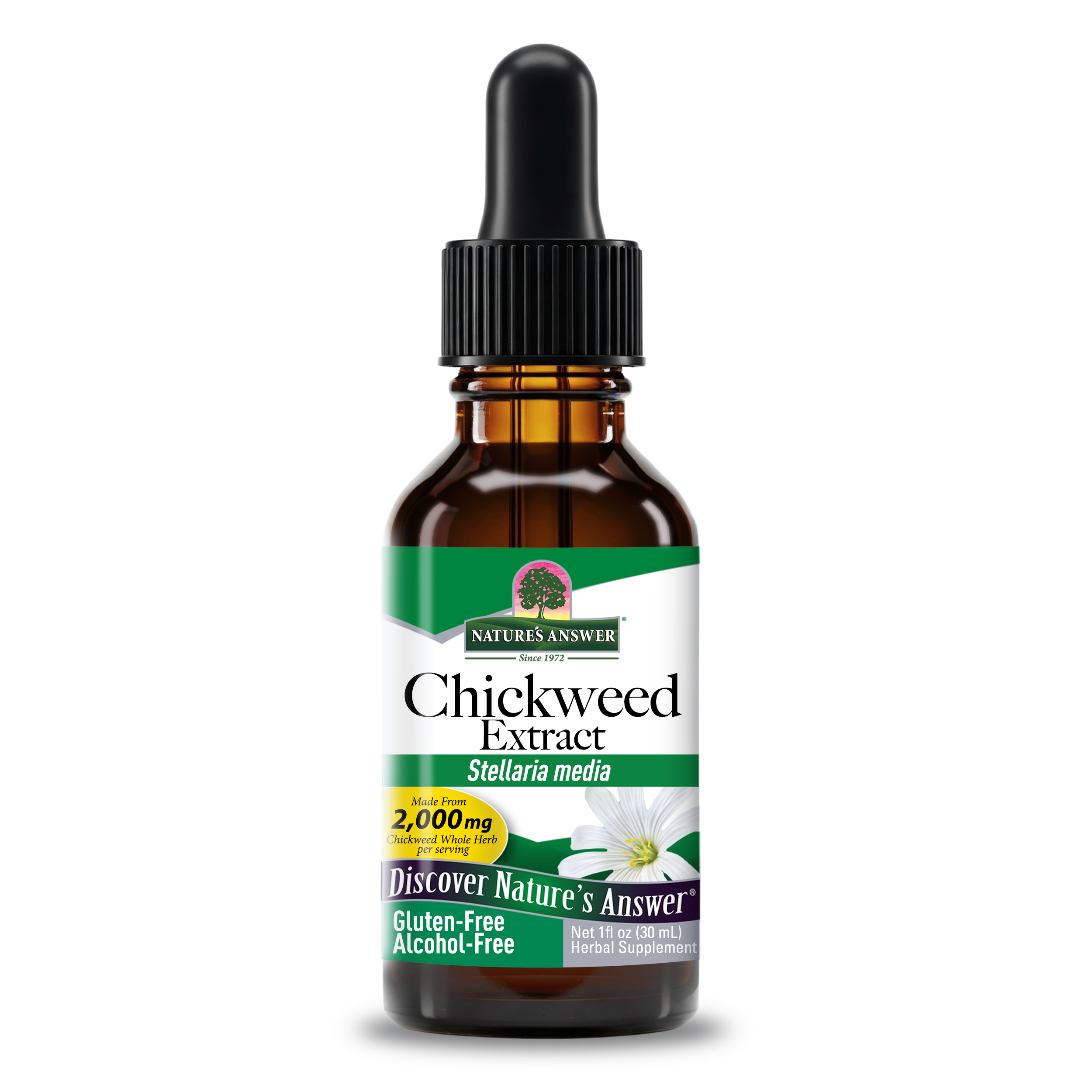Chickweed Extract - Alcohol Free Liquid