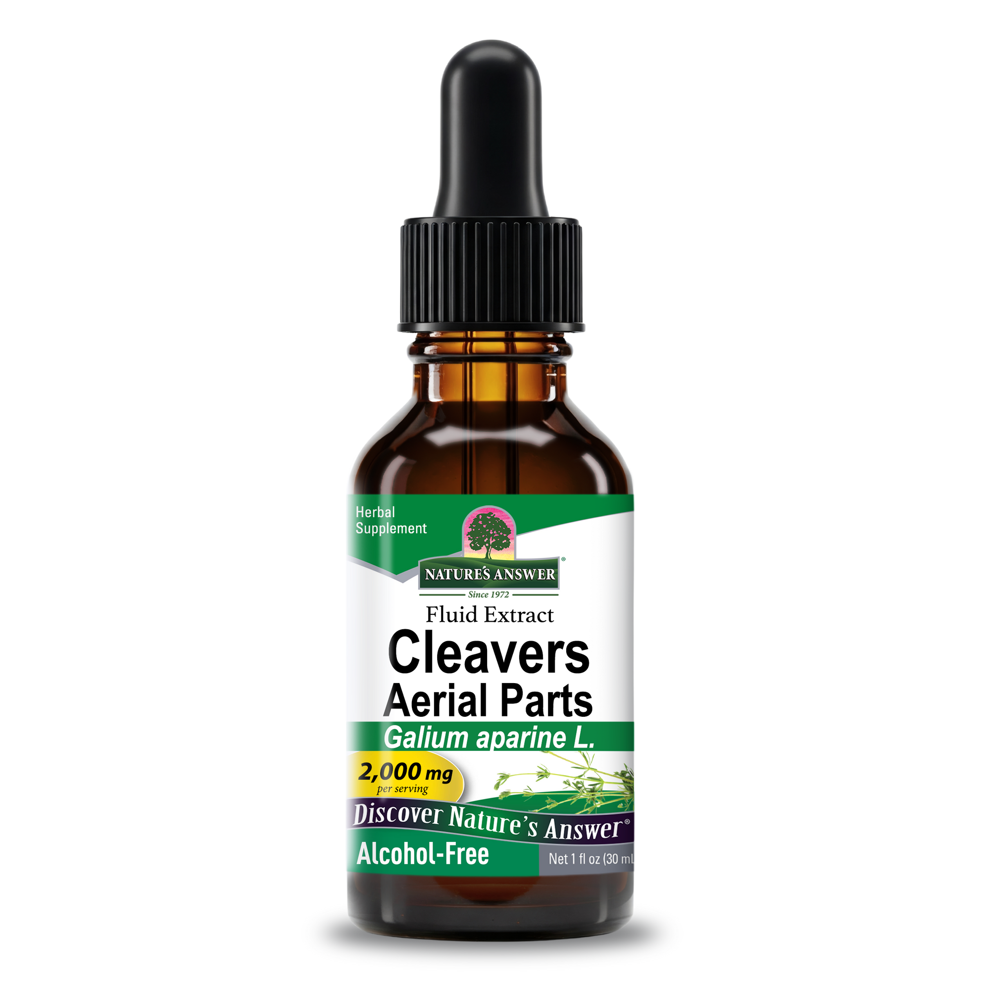 Cleavers Extract - Alcohol Free Liquid