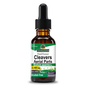 Cleavers Extract - Alcohol Free Liquid