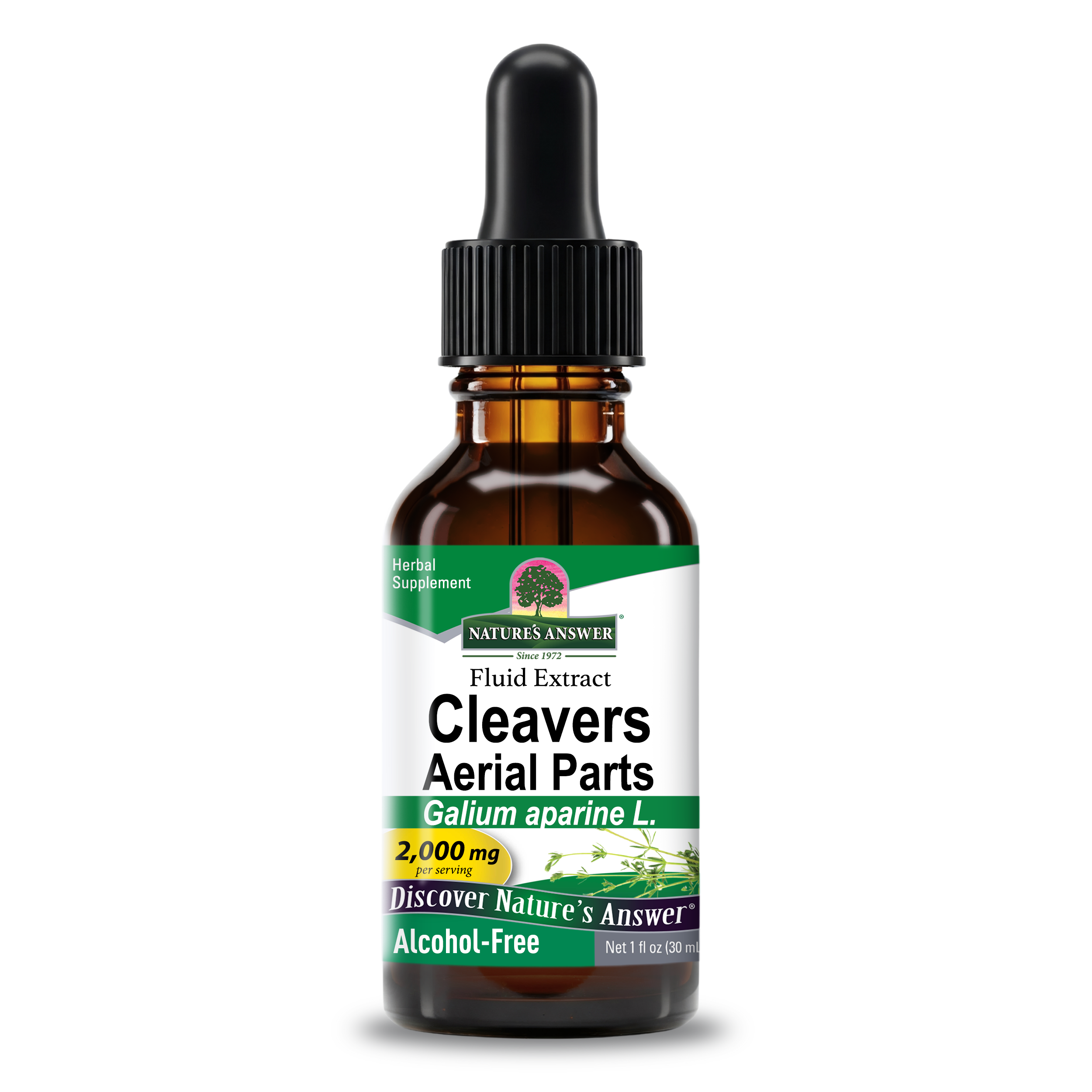Cleavers Extract - Alcohol Free Liquid