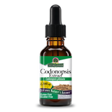 Codonopsis Extract - Alcohol Free Liquid
