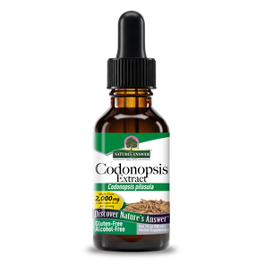 Codonopsis Extract - Alcohol Free Liquid
